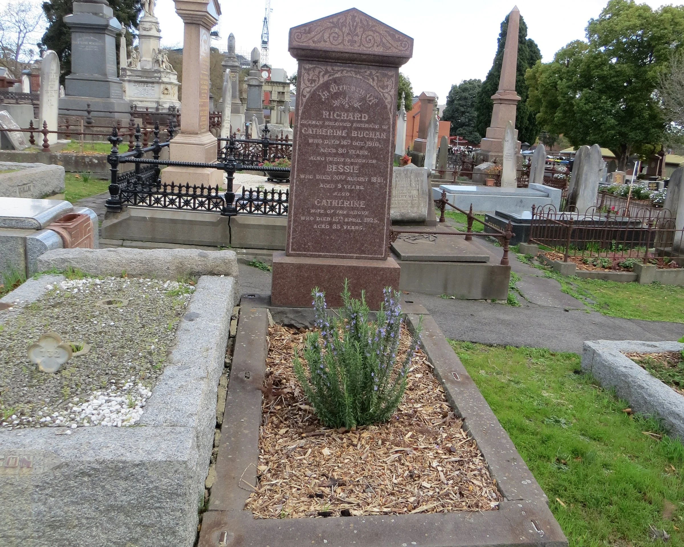 Kew Cemetery Horticulture (14).JPG