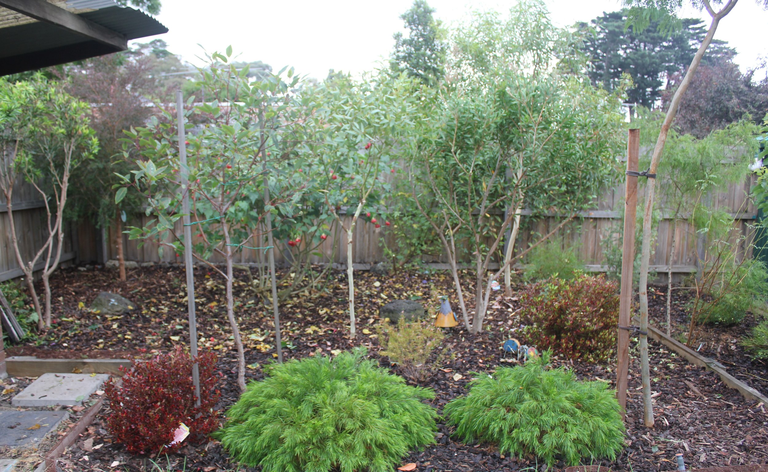 Preston Victoria (32).JPG