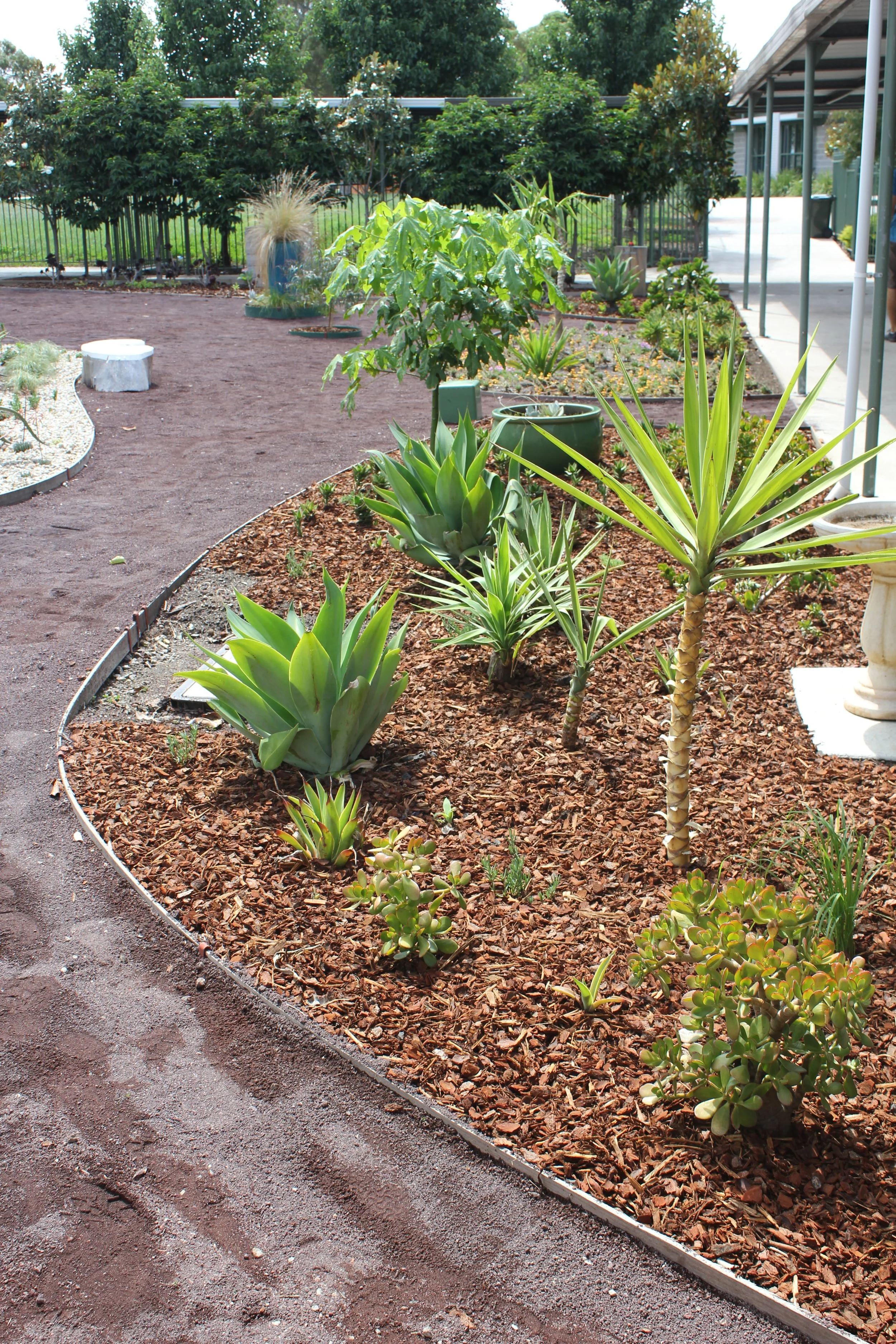 PVGC Succulent Garden (18).JPG