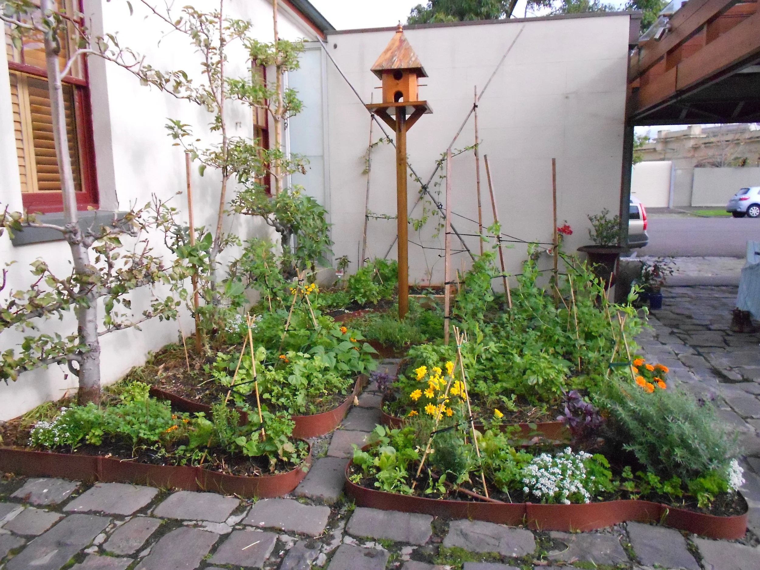 Albert Park Back (20).JPG