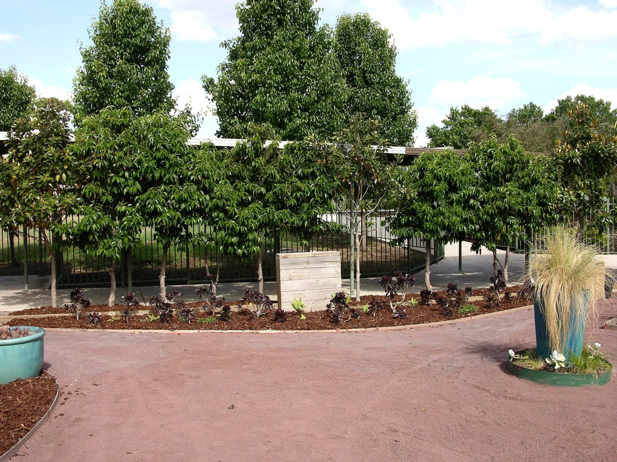 PVGC Succulent Garden (27).JPG