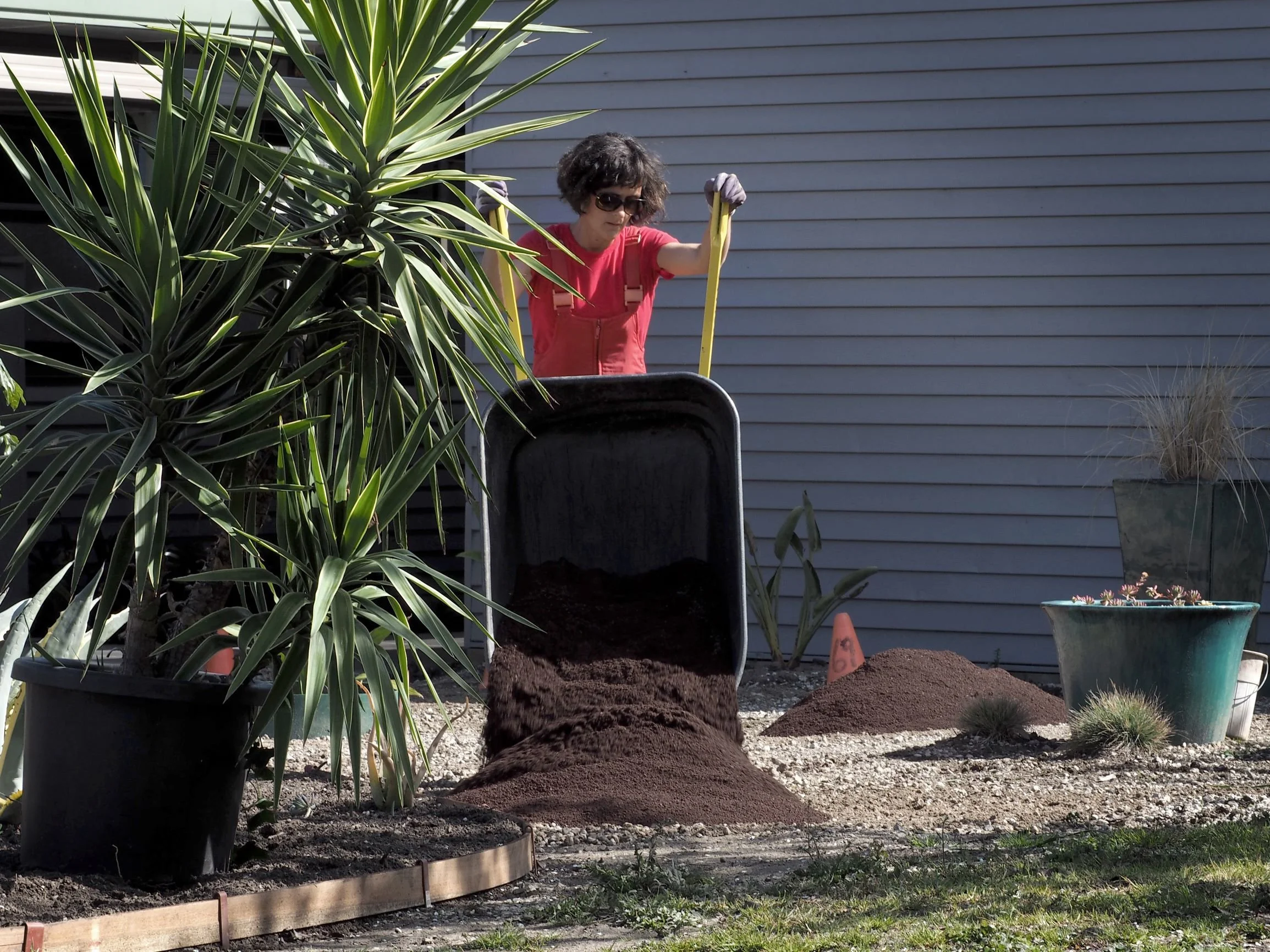 PVGC Succulent Works (1).JPG