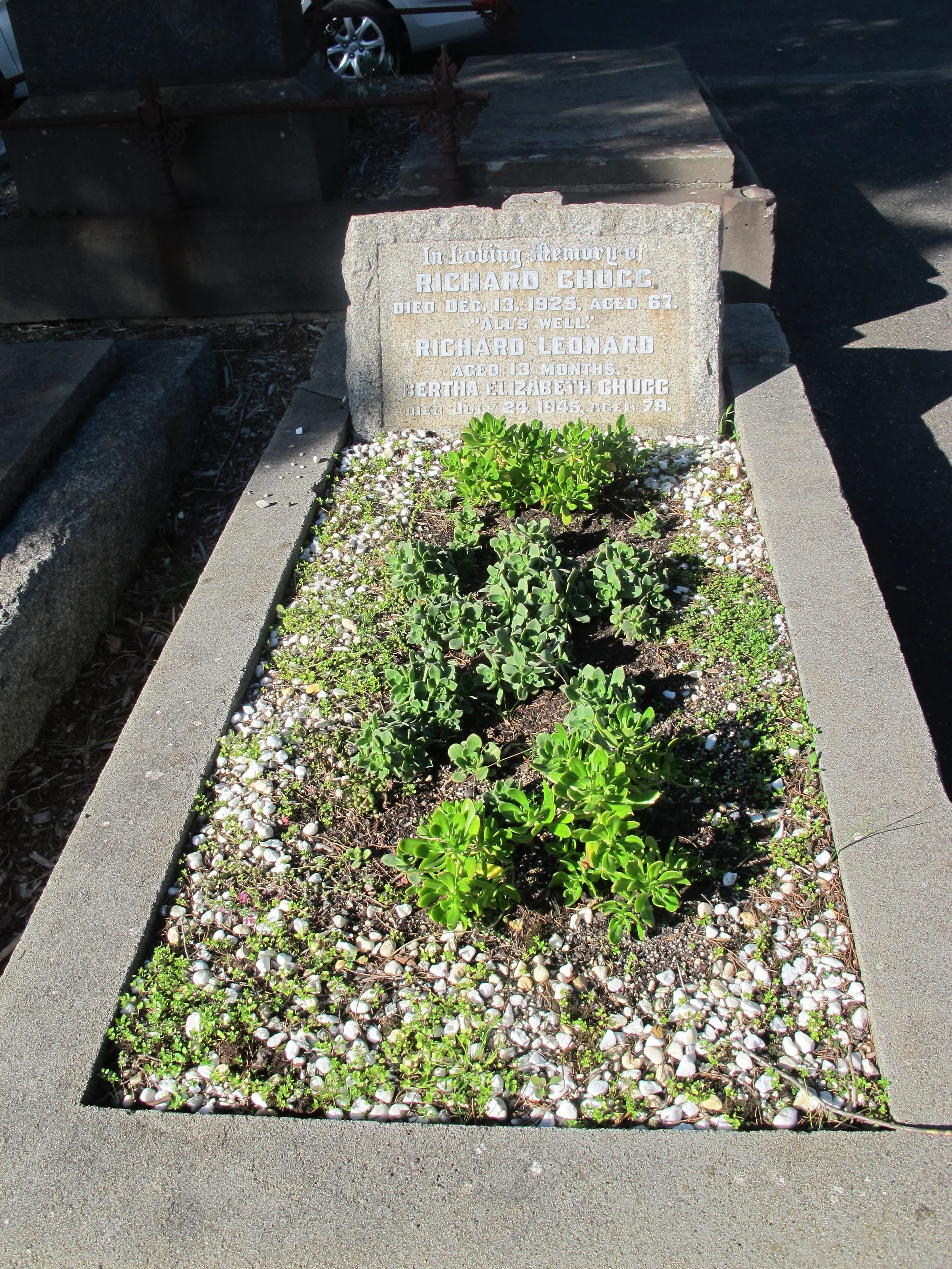 Kew Cemetery Horticulture (24).JPG
