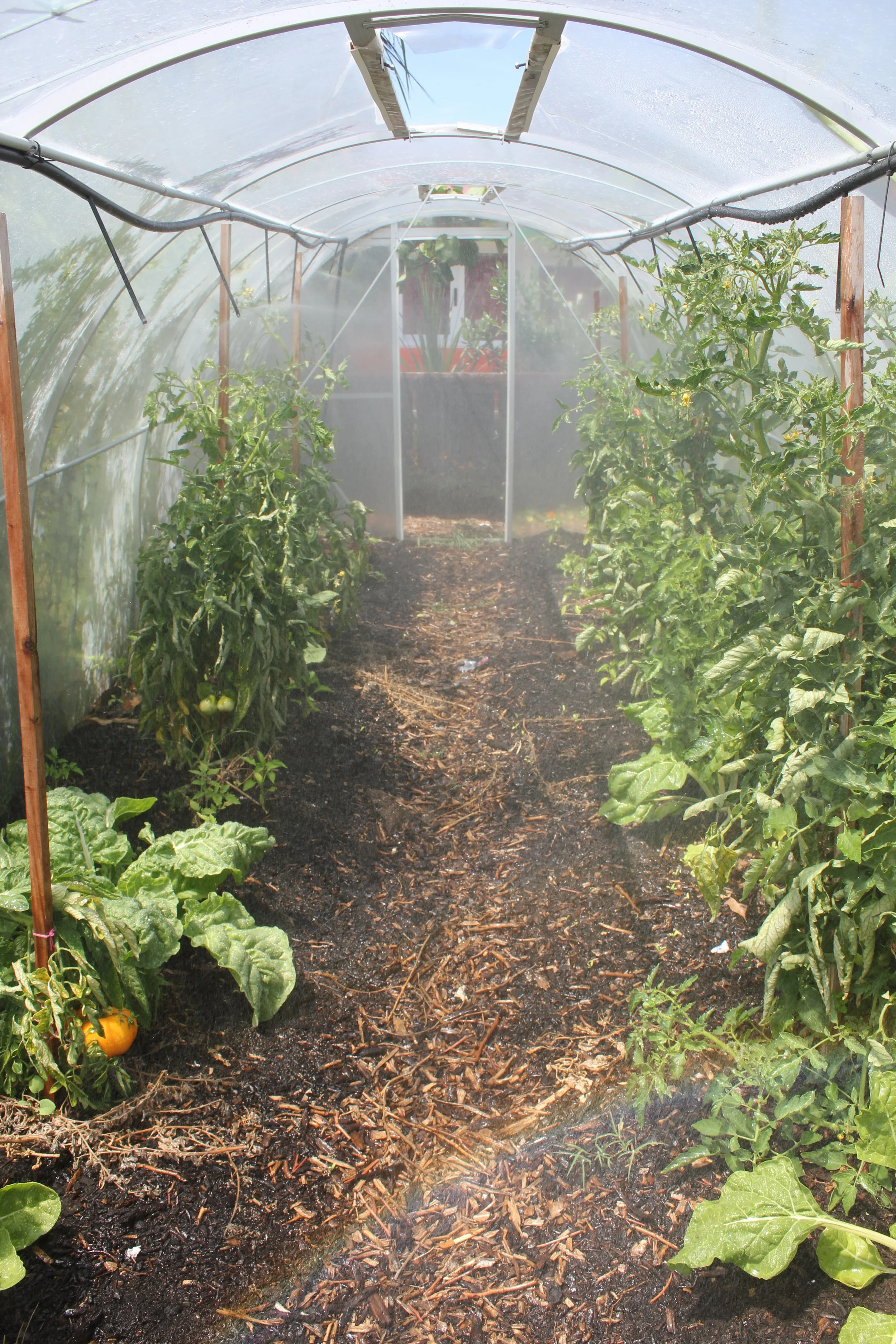 TKKM Māra Kai (50).JPG