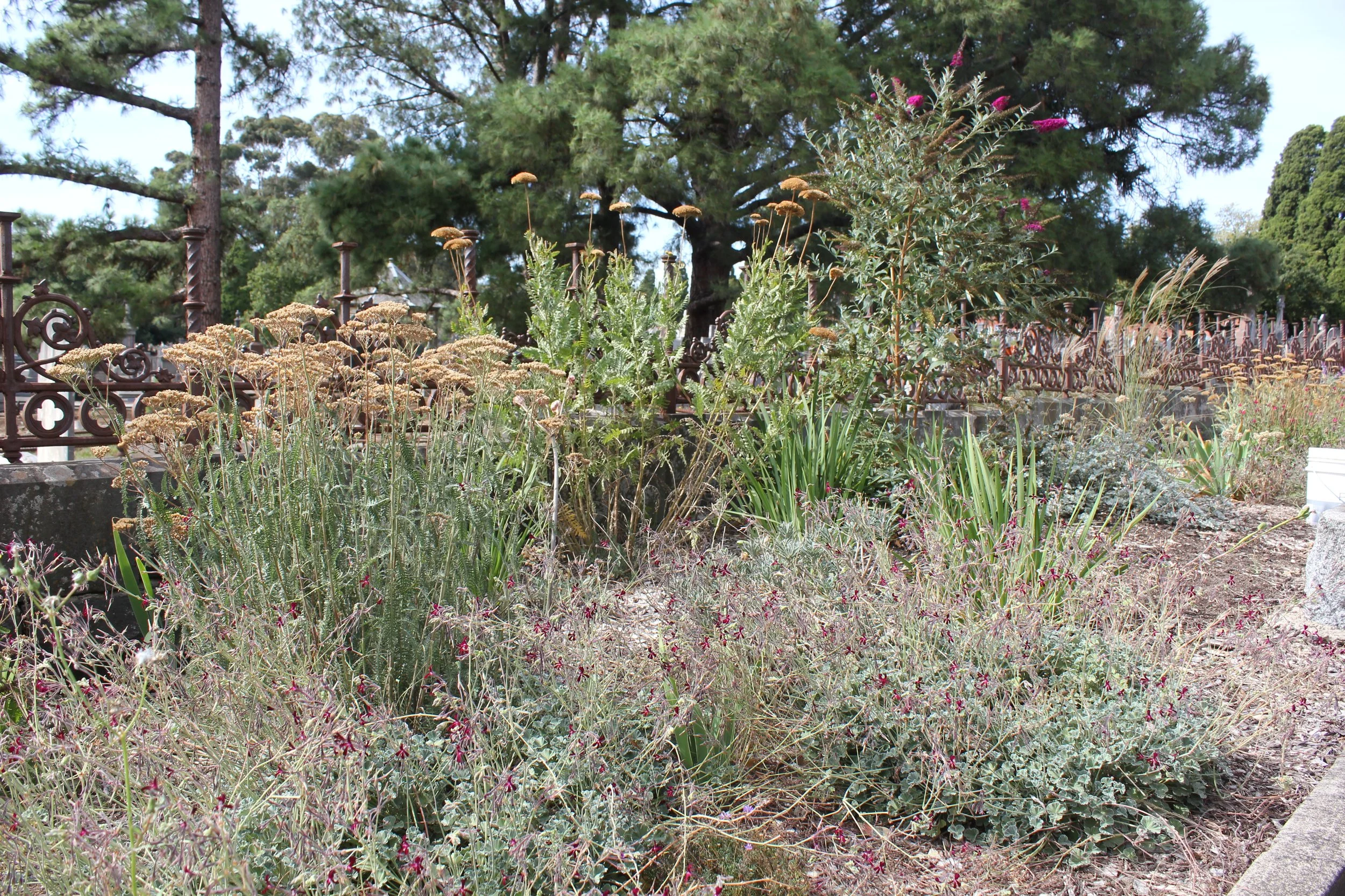 Sisters Project  (3).JPG