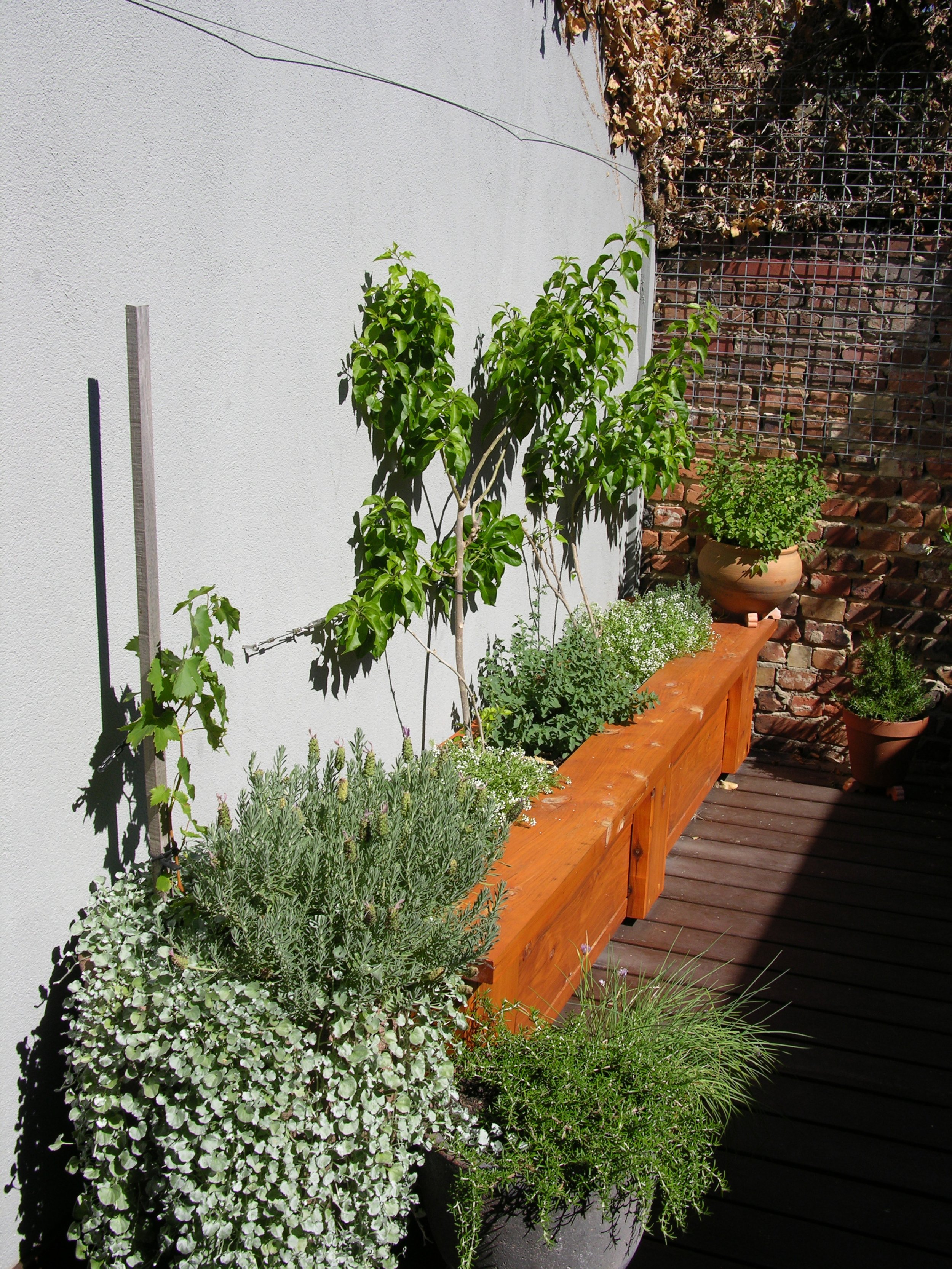 Small Courtyard Garden (12).JPG