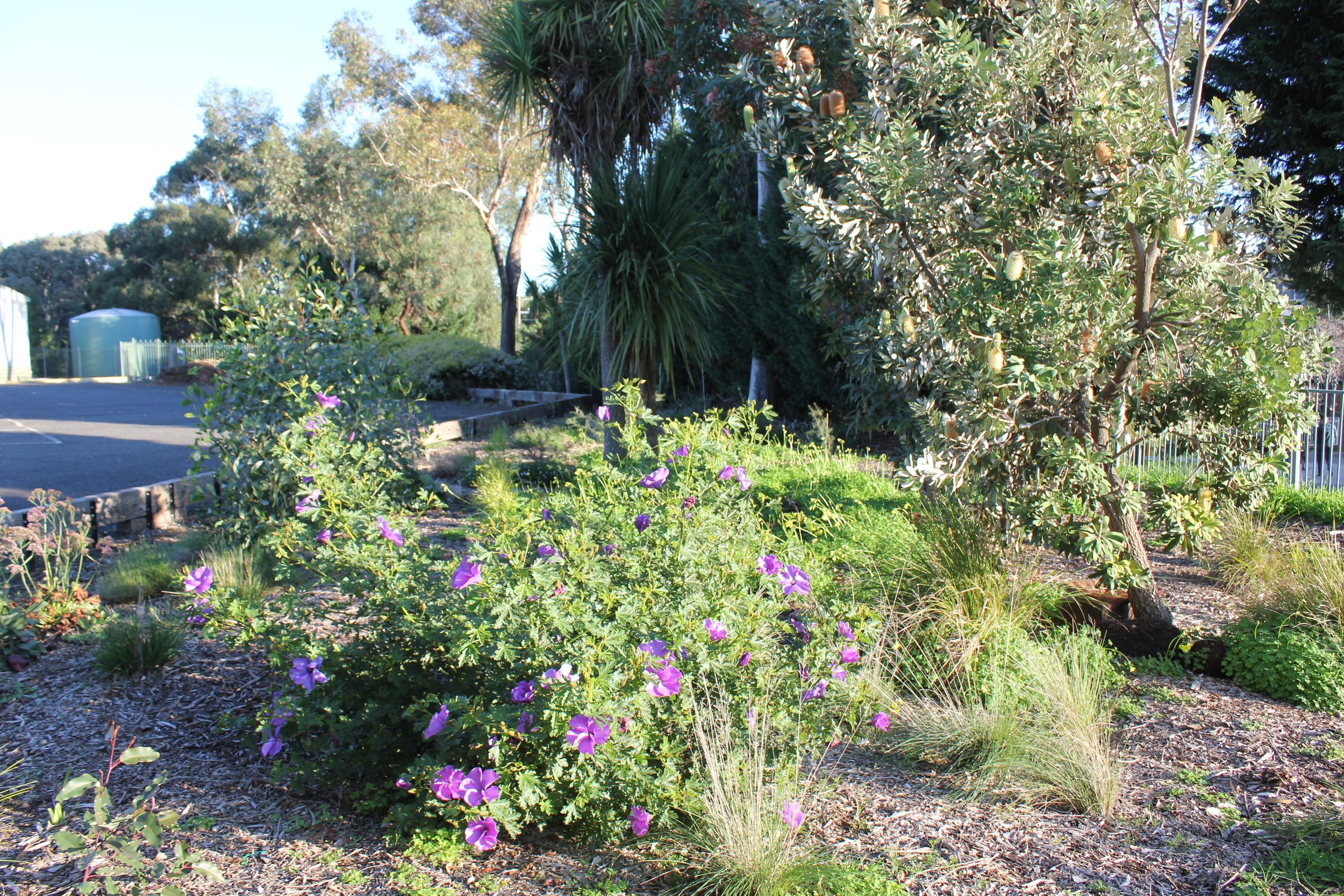 VGC Carpark Entrance (89).JPG