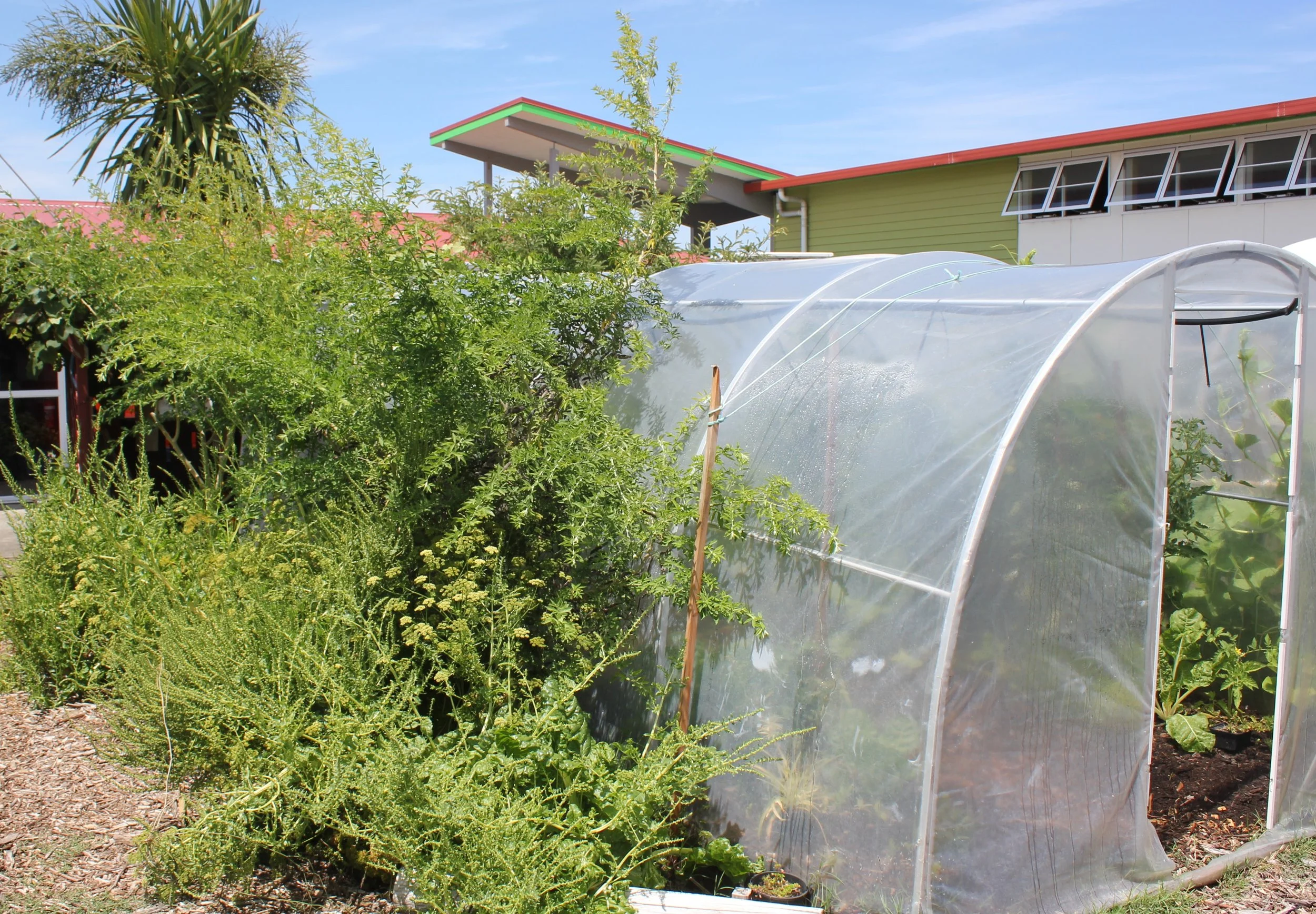 TKKM Māra Kai (48).JPG