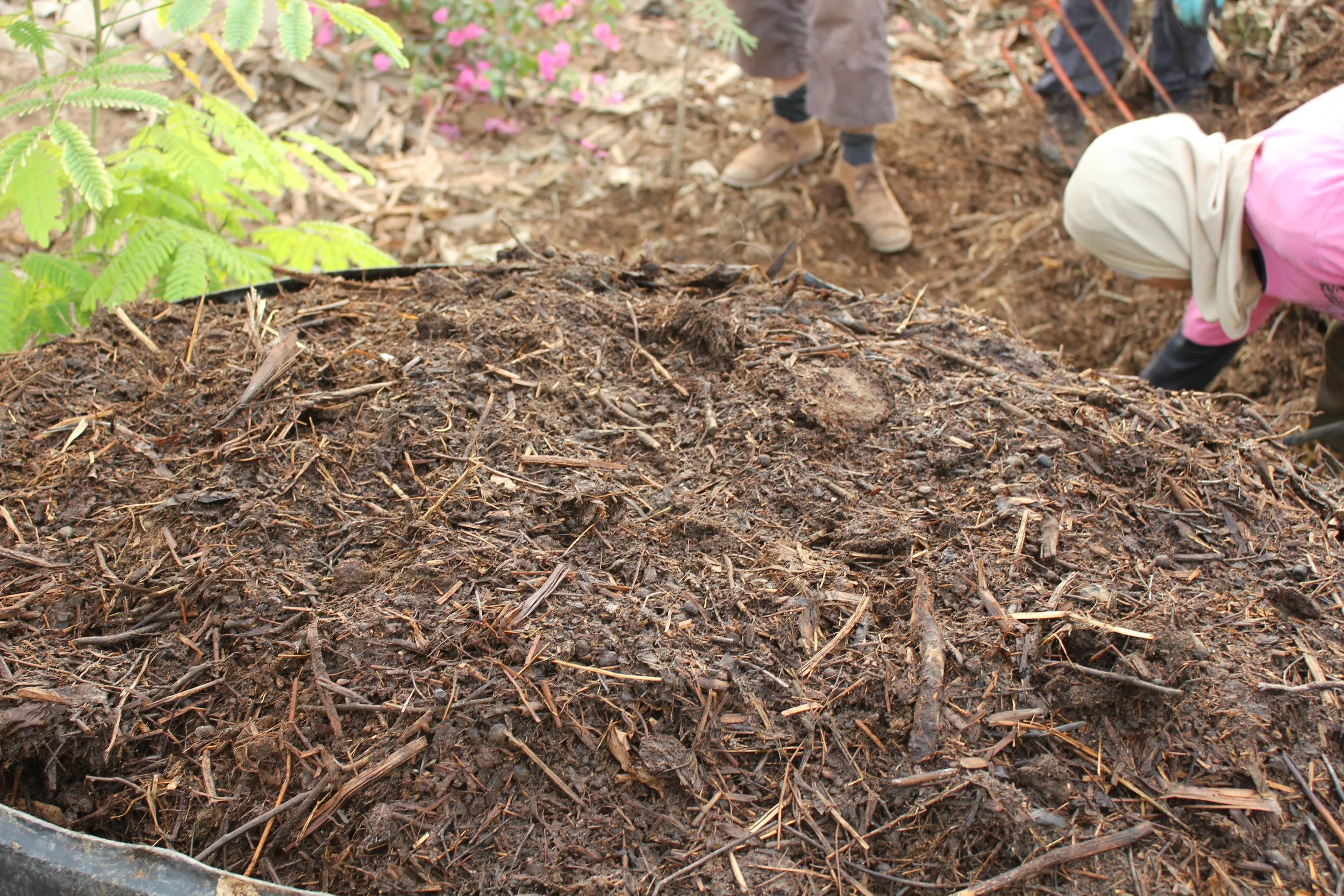 Abla Garden (14).JPG