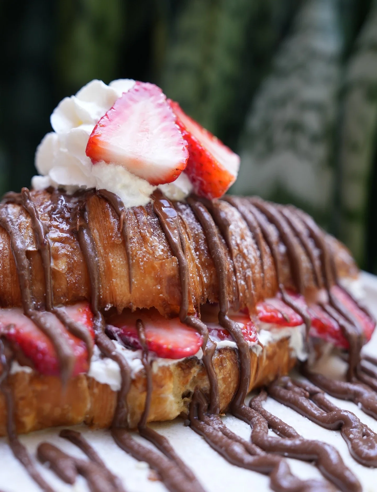 fd90f653ee130c3619e678323c43814689c007d6 (1).webp