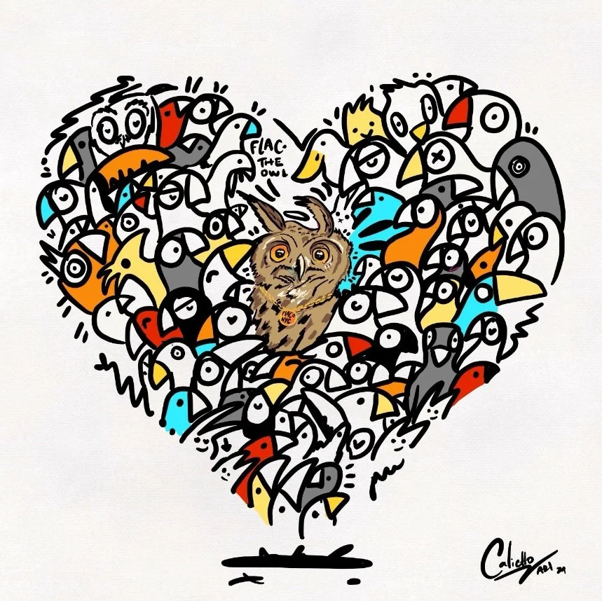 Flaco and NYC Pigeons