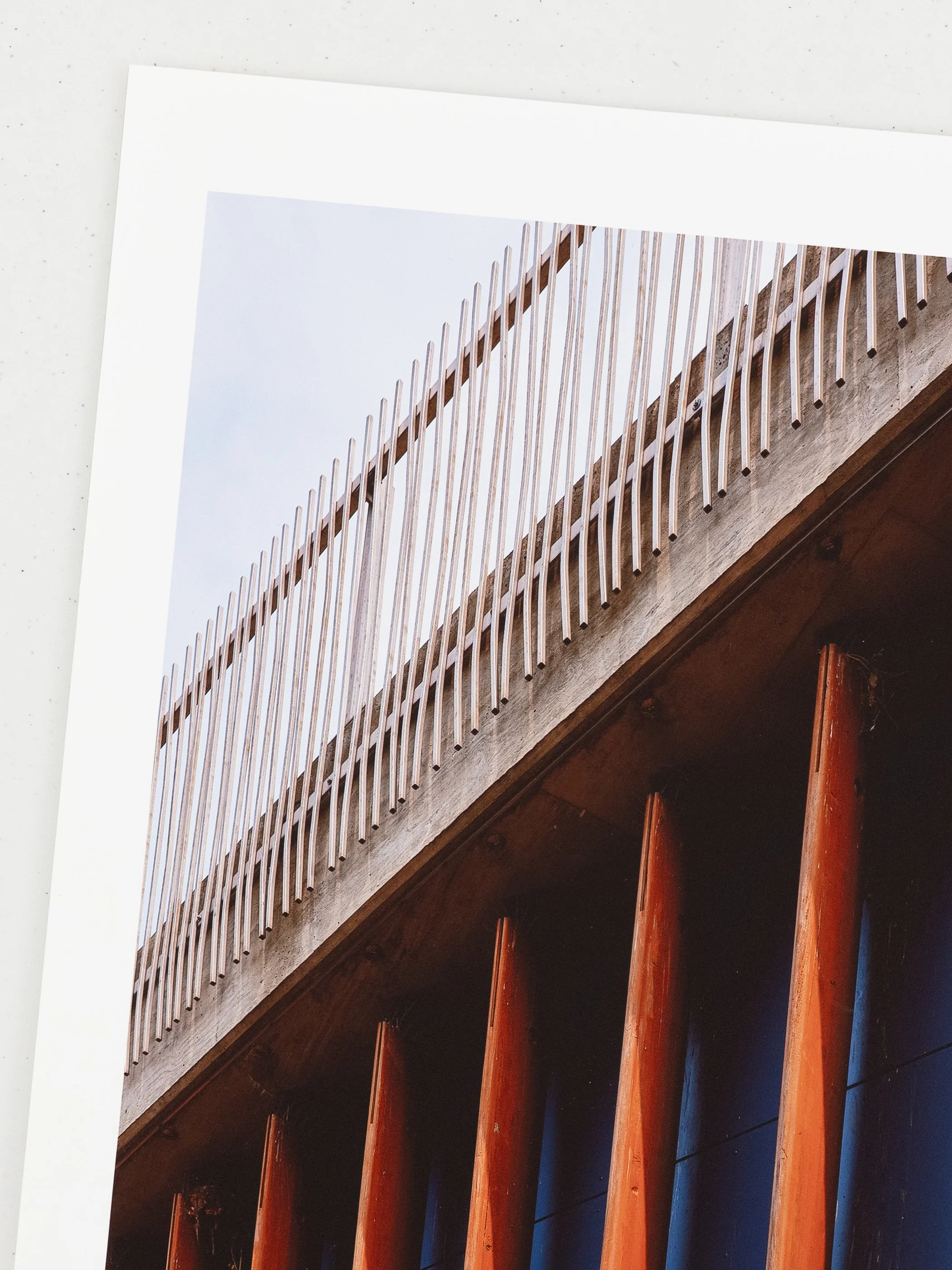 Bird Nests Underneath-2.jpg