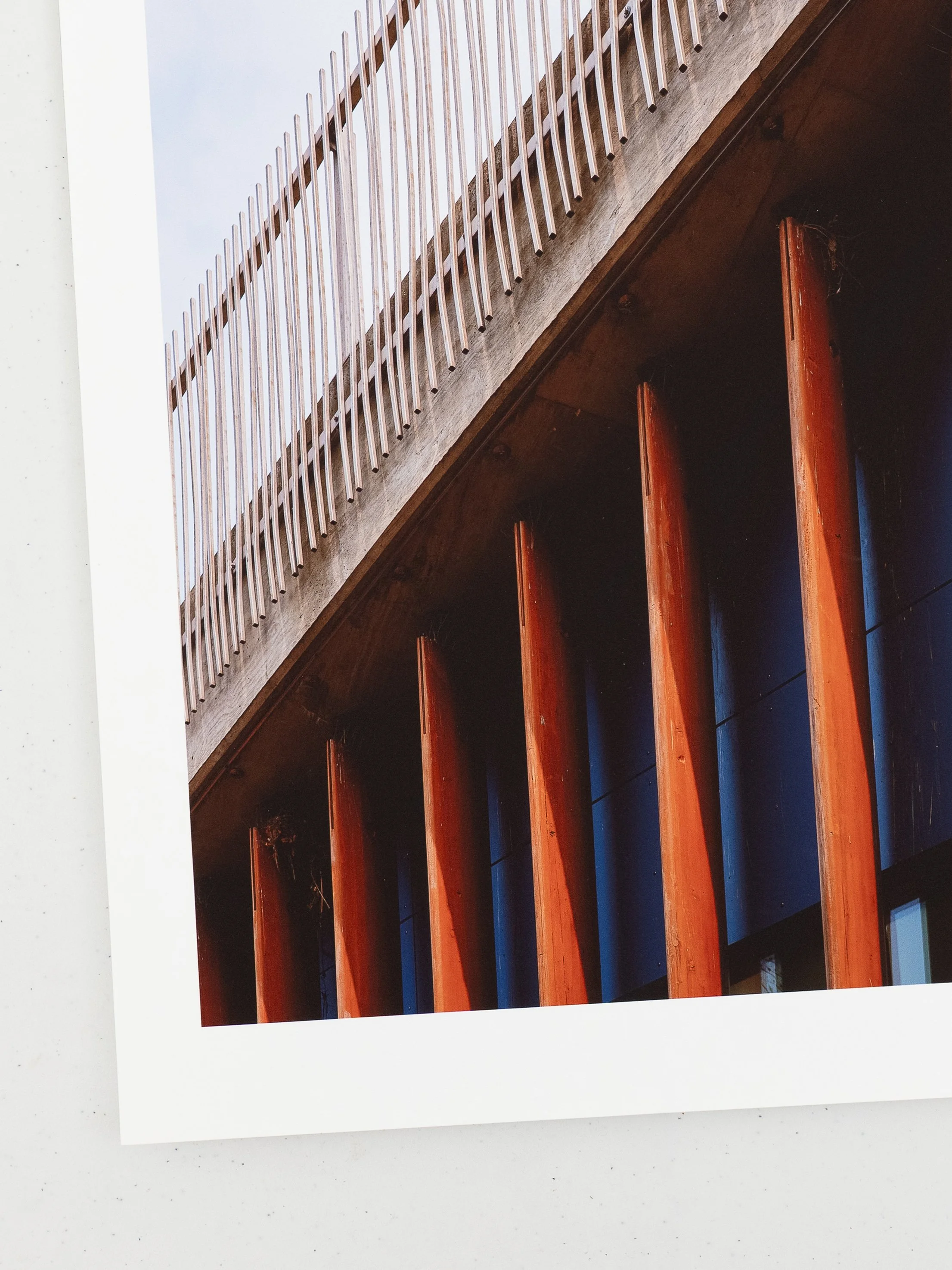 Bird Nests Underneath-4.jpg