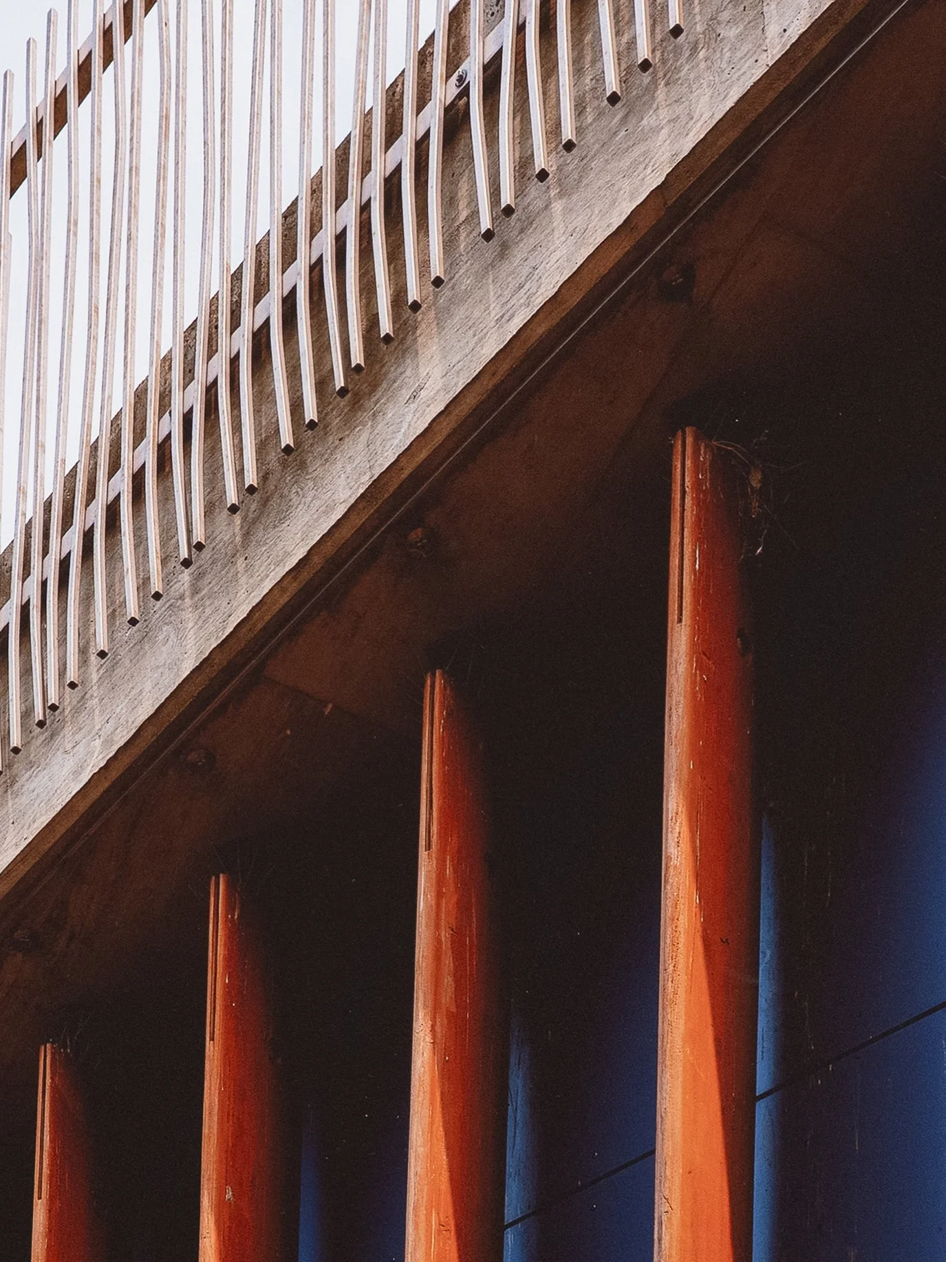 Bird Nests Underneath-6.jpg