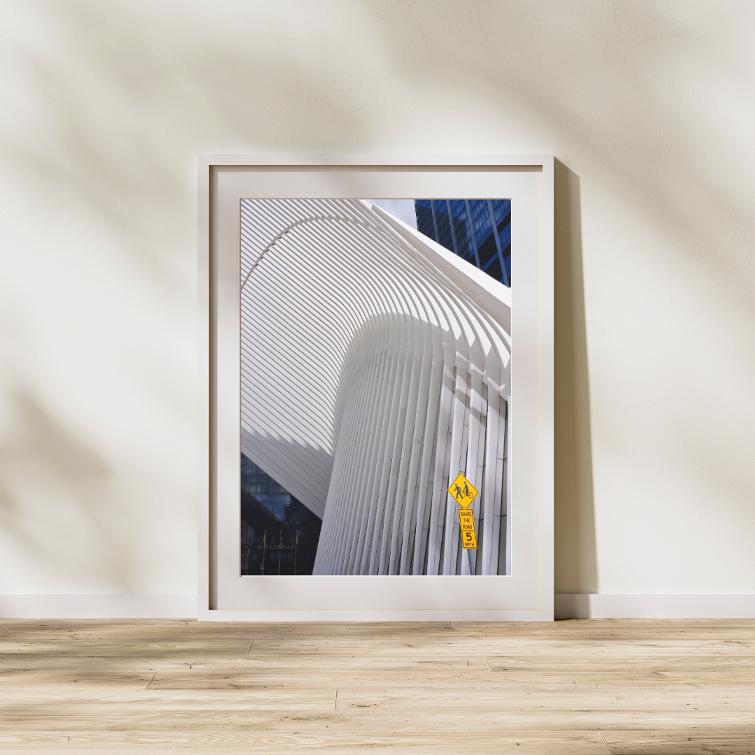 Sung Choi_Original Print_Ribs 1.png