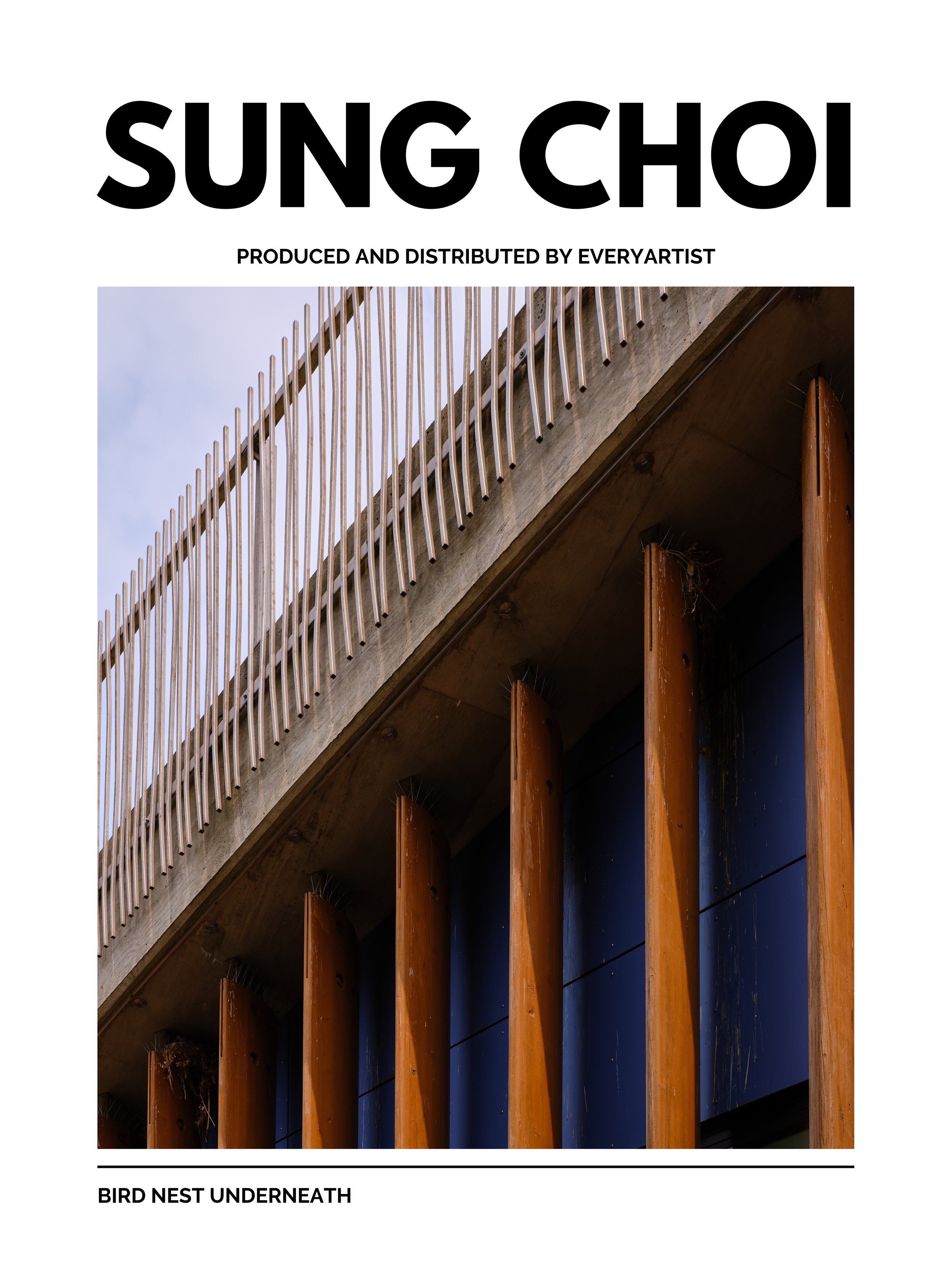 SUNG CHOI - BIRD NEST UNDERNEATH.jpg
