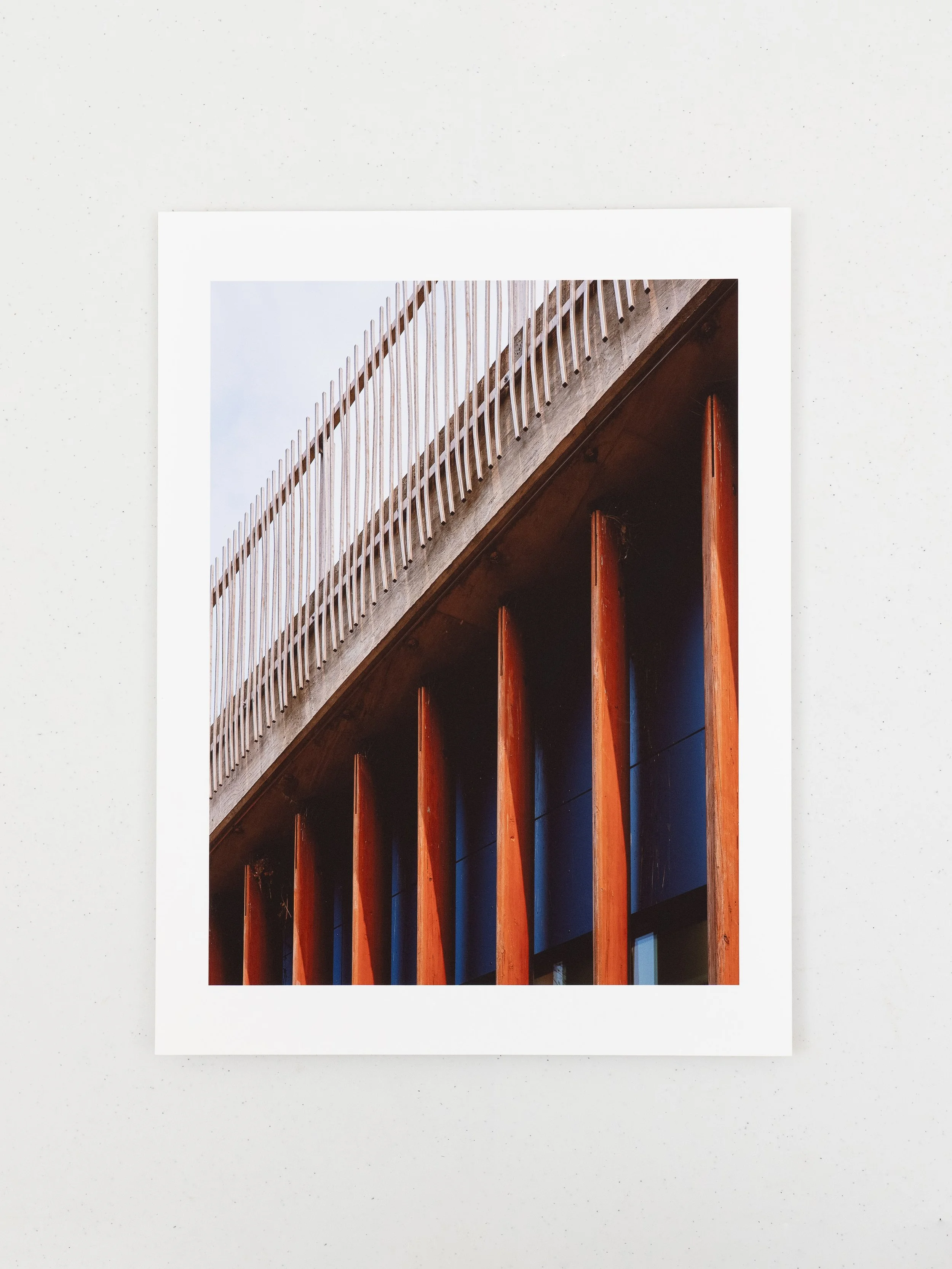 Bird Nests Underneath