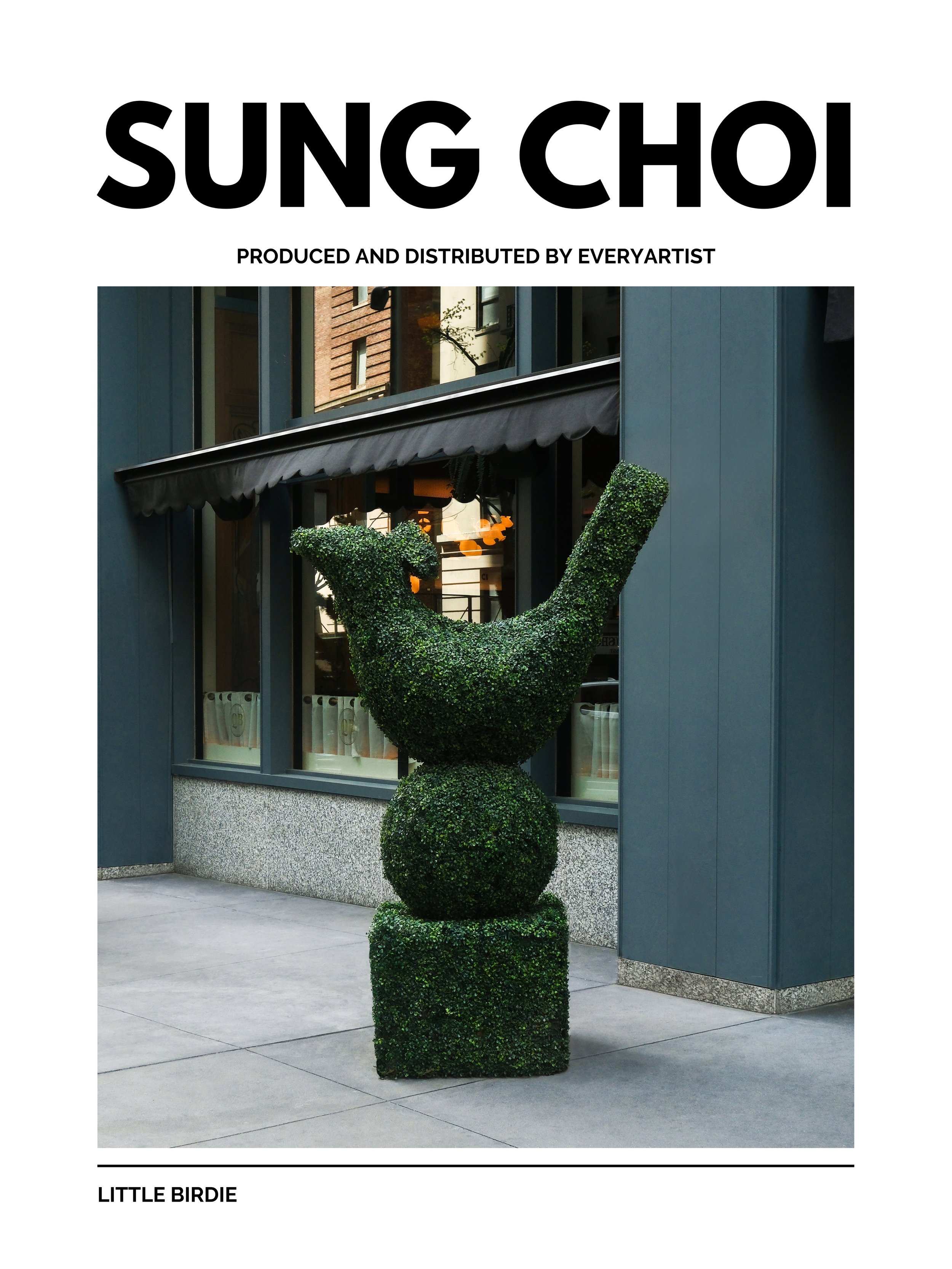 SUNG CHOI - LITTLE BIRDIE.jpg