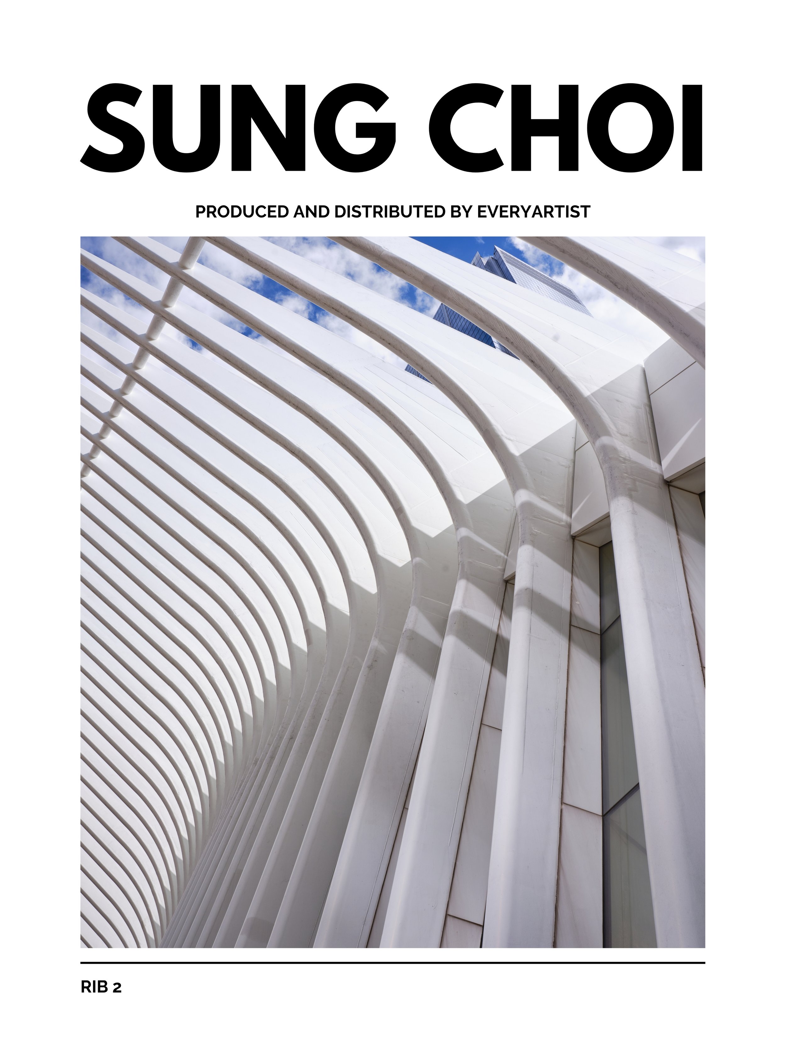 SUNG CHOI - RIB 2.jpg
