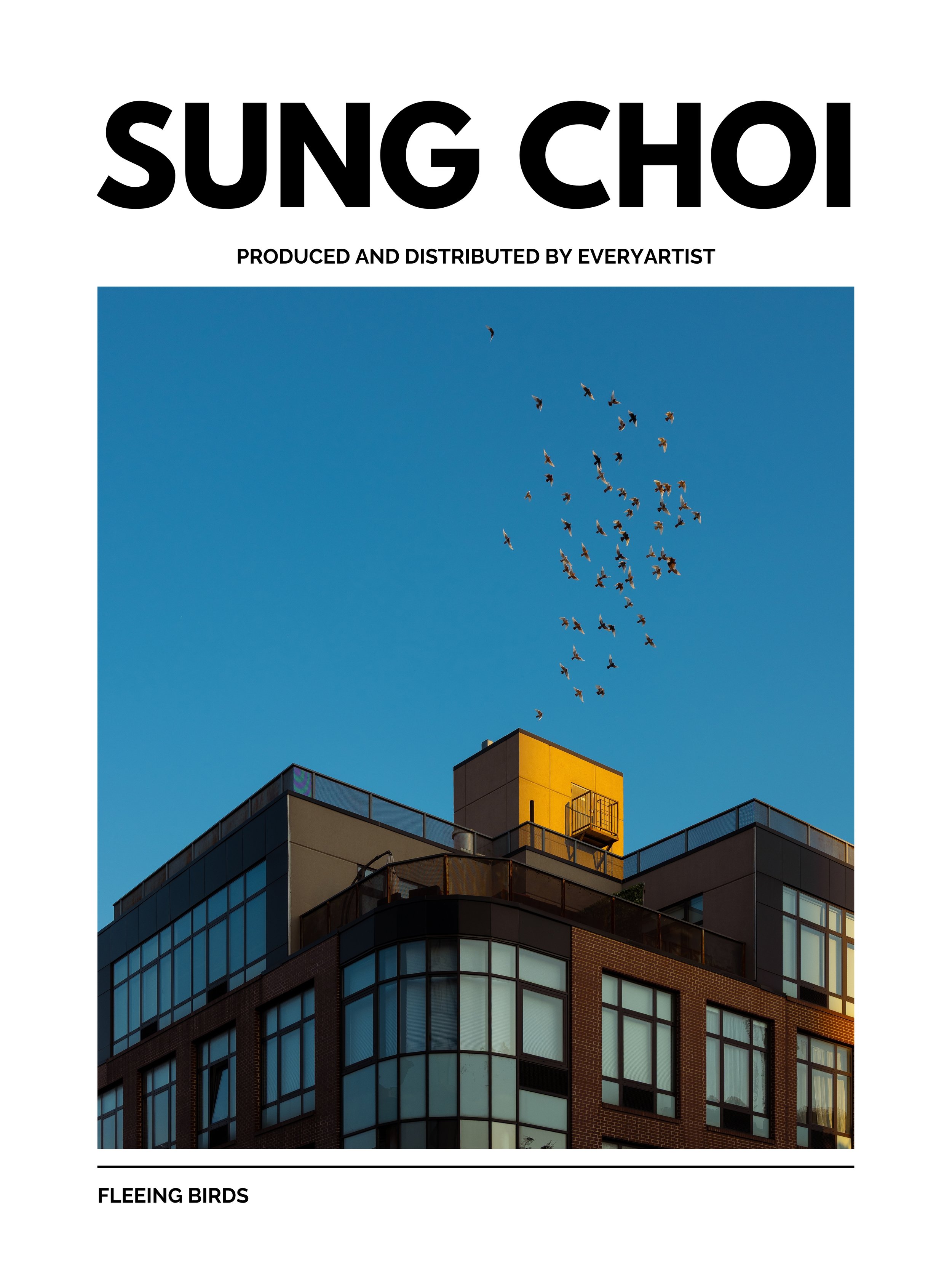 SUNG CHOI - FLEEING BIRDS.jpg