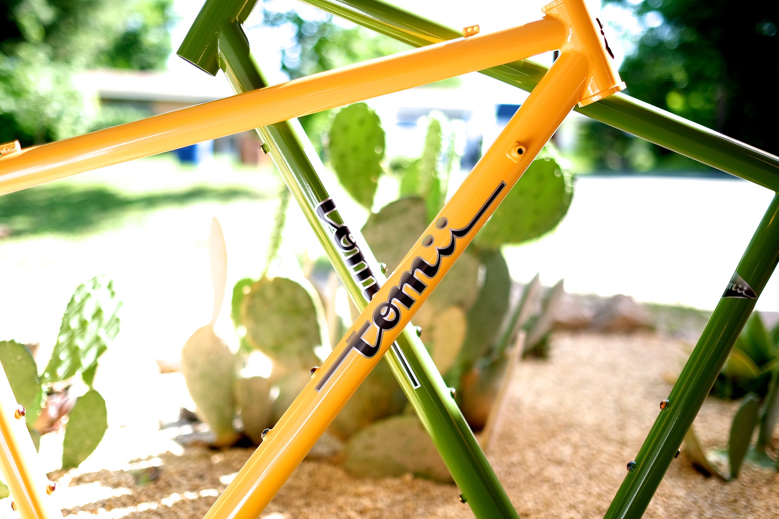 The Canvas — Tomii Cycles The Canvas — Tomii Cycles