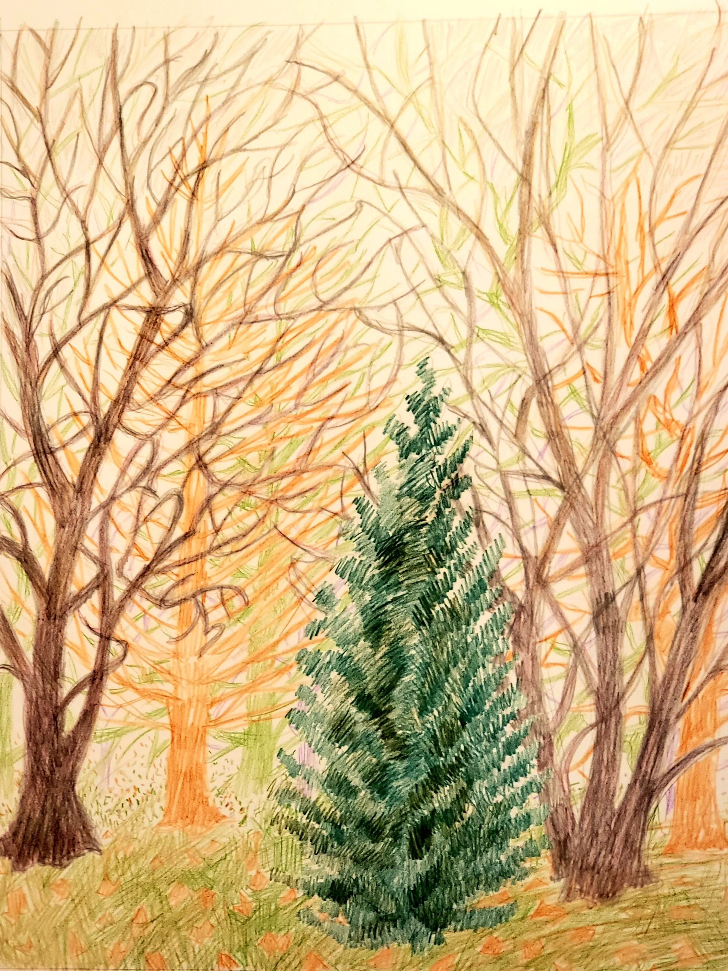 Winter Landscape