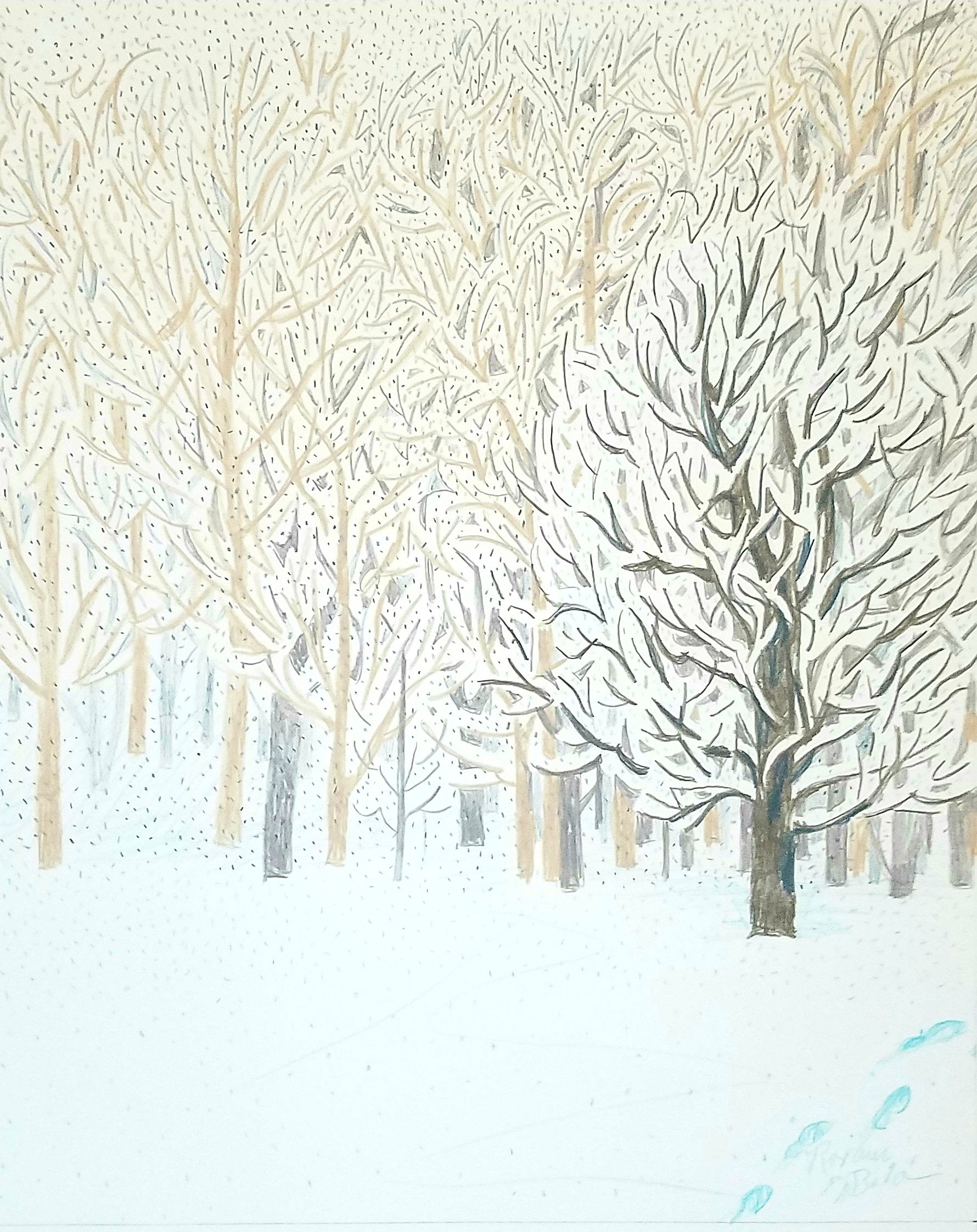 Blizzard