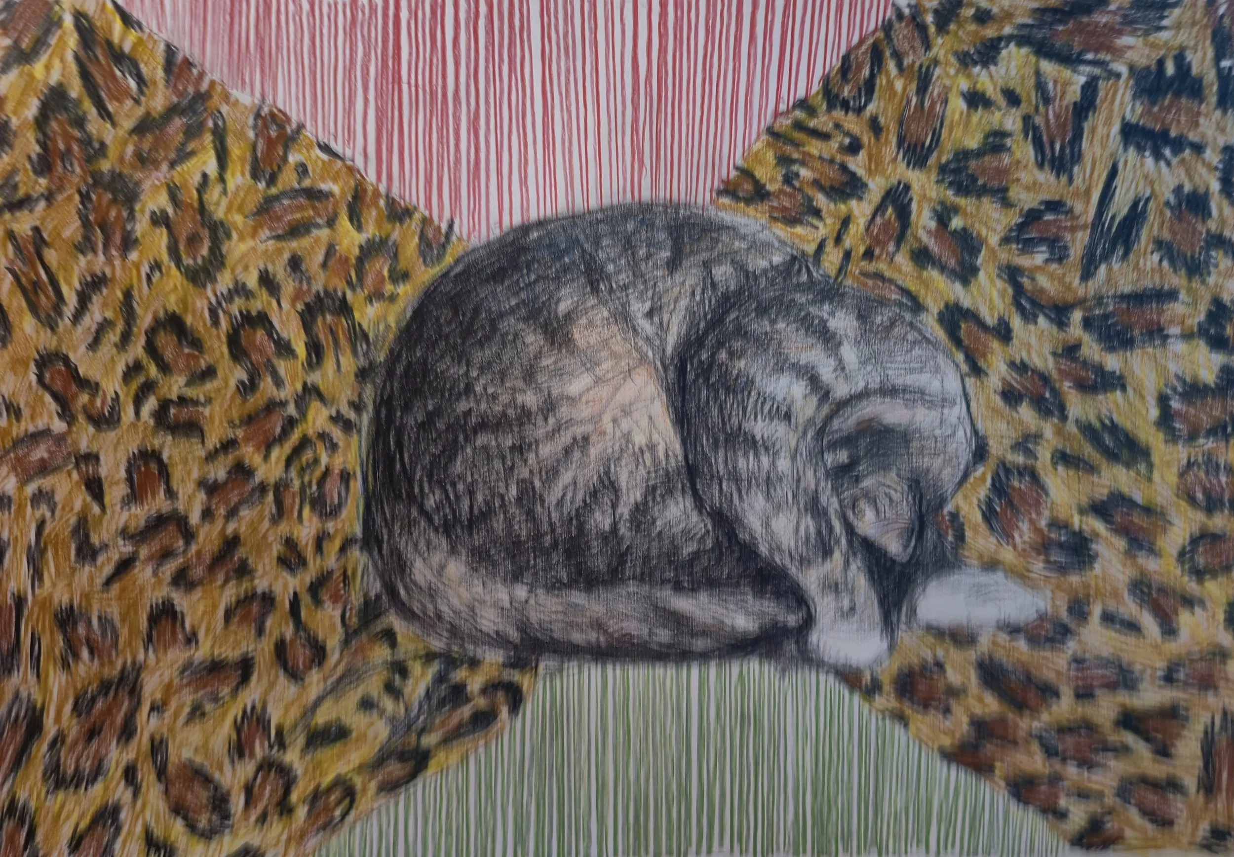 20260227_165706 (1).jpg