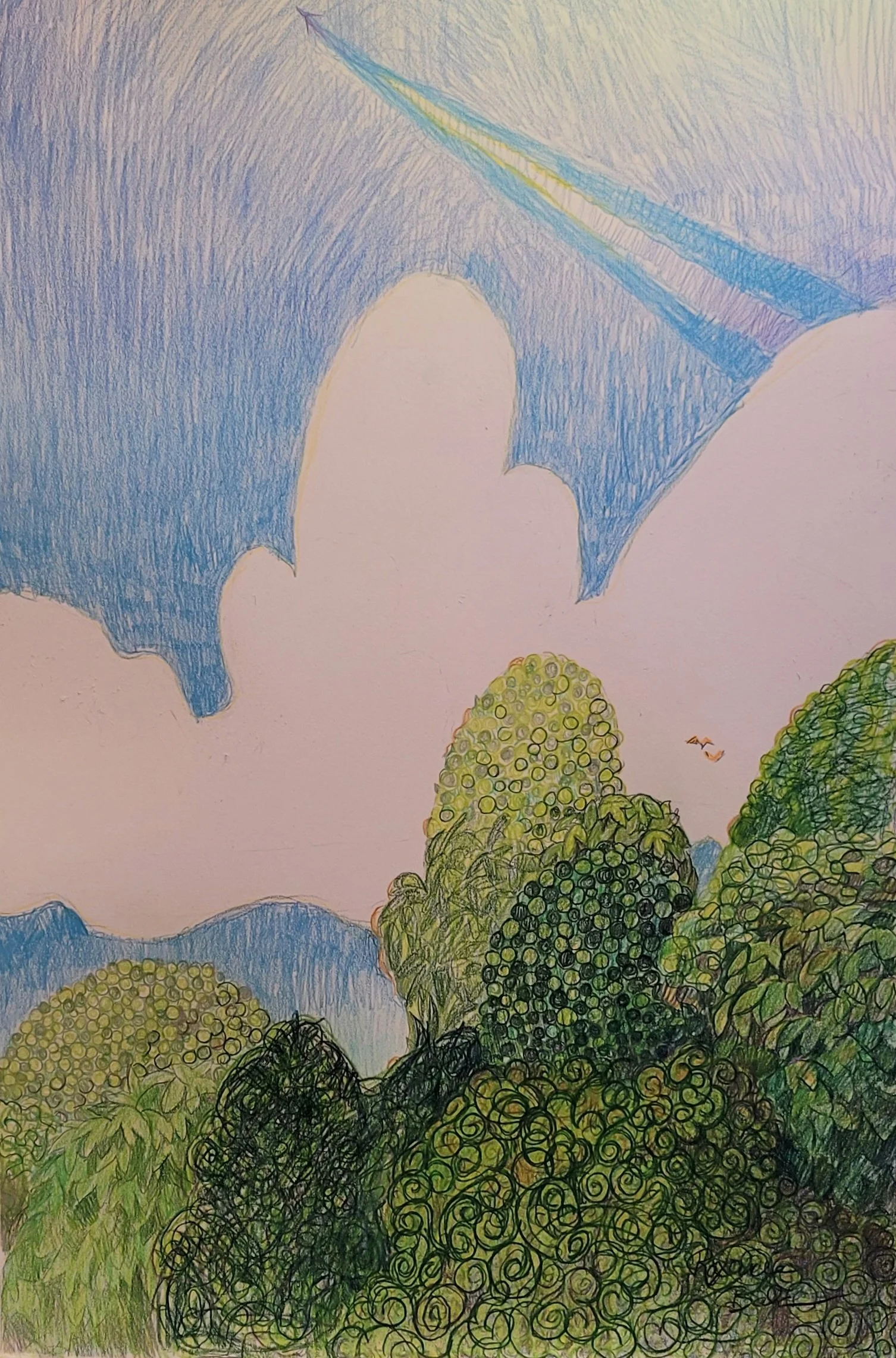 Flying Over the Trees