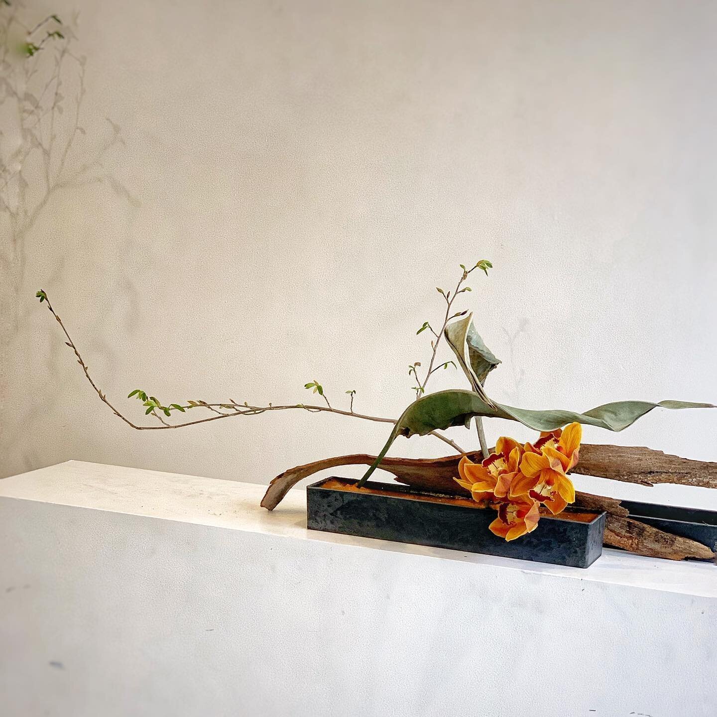 The-Windsor-Workshop-Ikebana-Kokedama-By-Azumi-003.jpeg