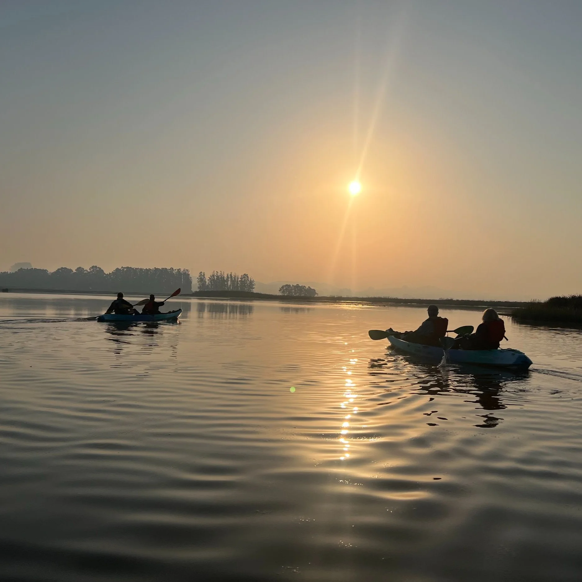 Dawn guided tour. Book us anytime!