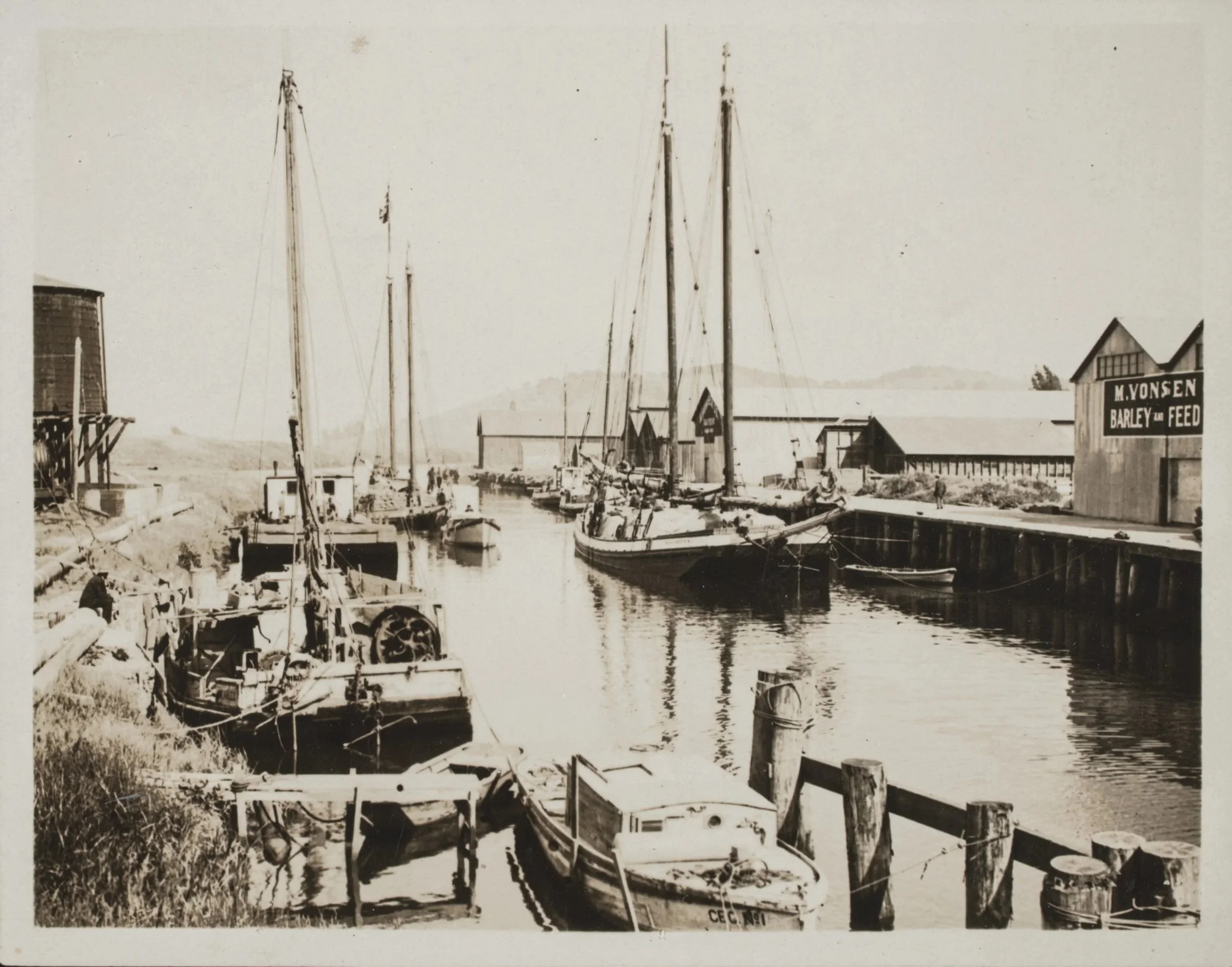 Scows docked behind Vonsen warehouse, south of the D Street bridge. Grain came by rail and were shipped to San Francisco markets on the Petaluma River. (1911) Downtown River Apartments were built here in 2005. 