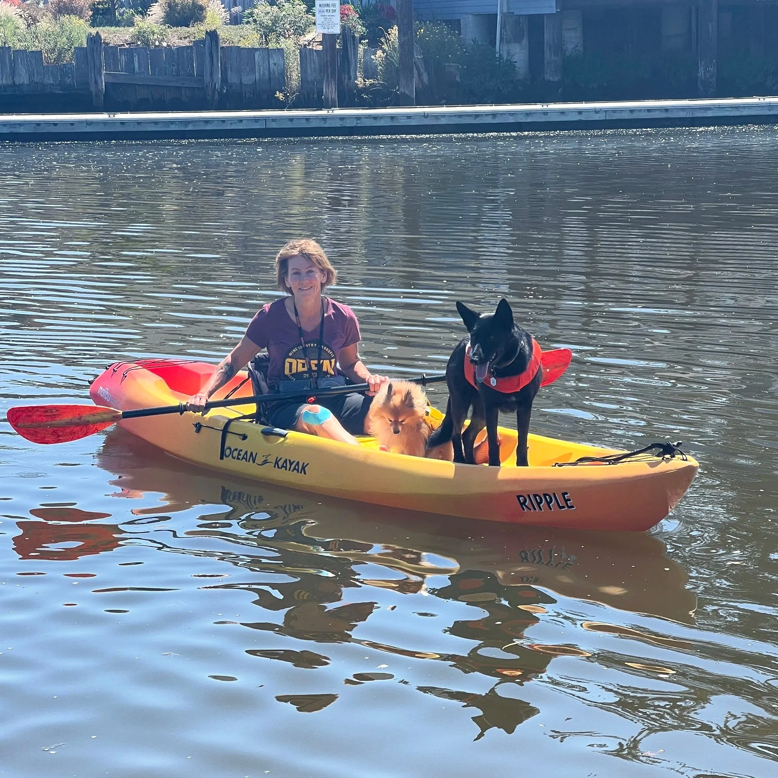 Pups ride free! Single kayak: $30/hr. (Two sizes)