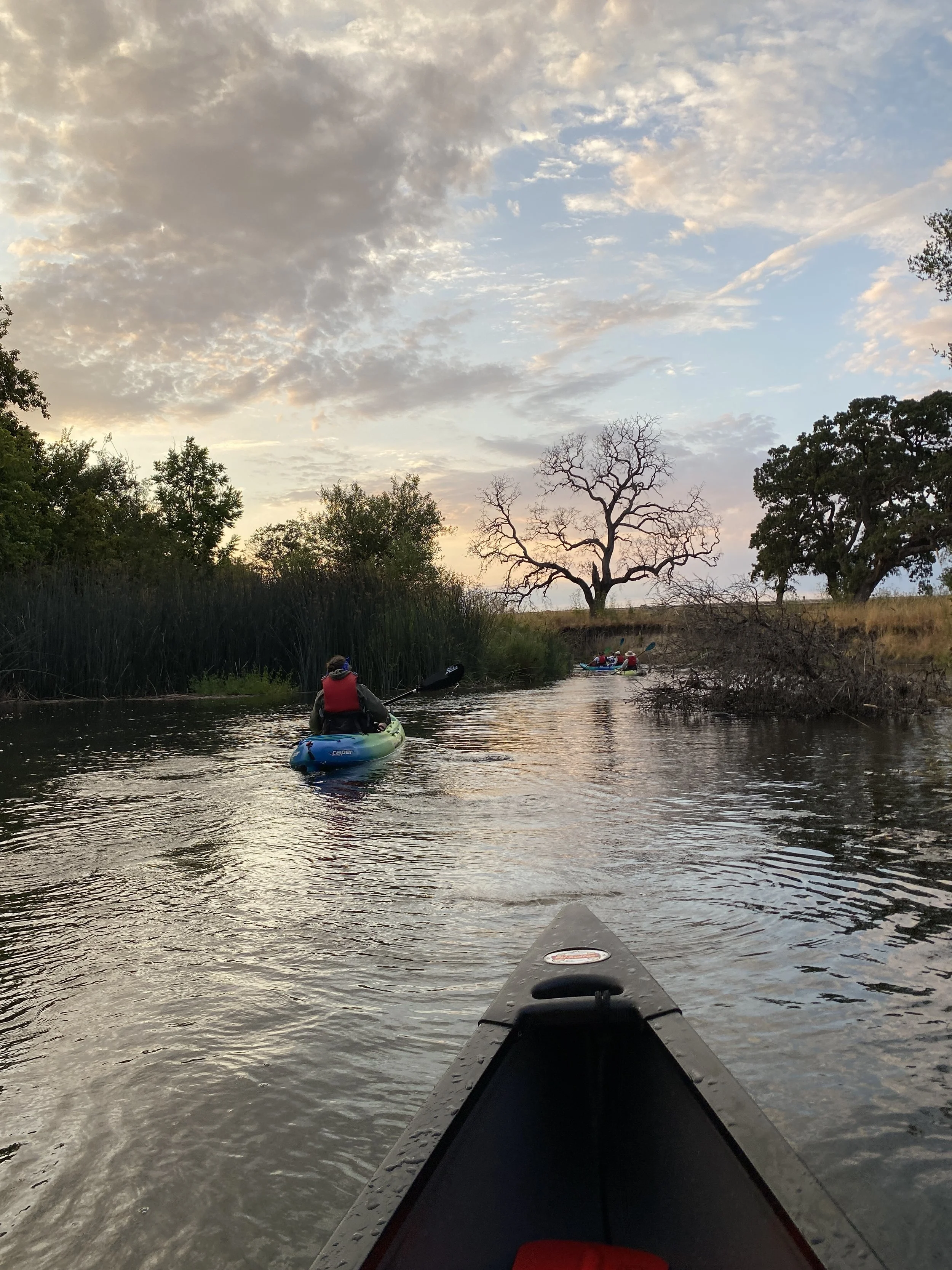 There are several colorful kayaks on the water in an evening scene, with trees on both sides of the waterway, and a blue sky streaked with dusky clouds. A bare tree is at the center of the photo in the far background.