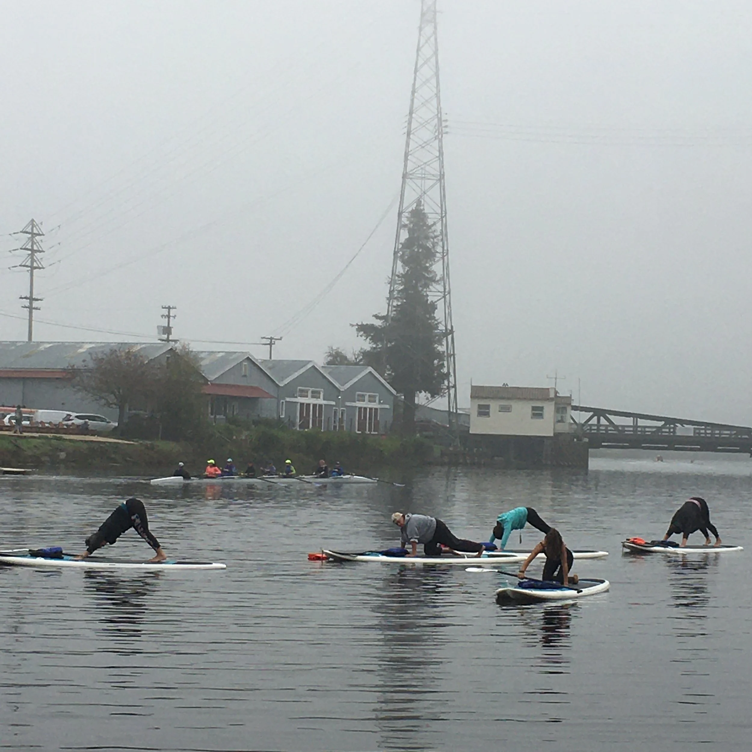 The Floathouse's Stand up Paddle Board Yoga class in the turning basin, 2024. 