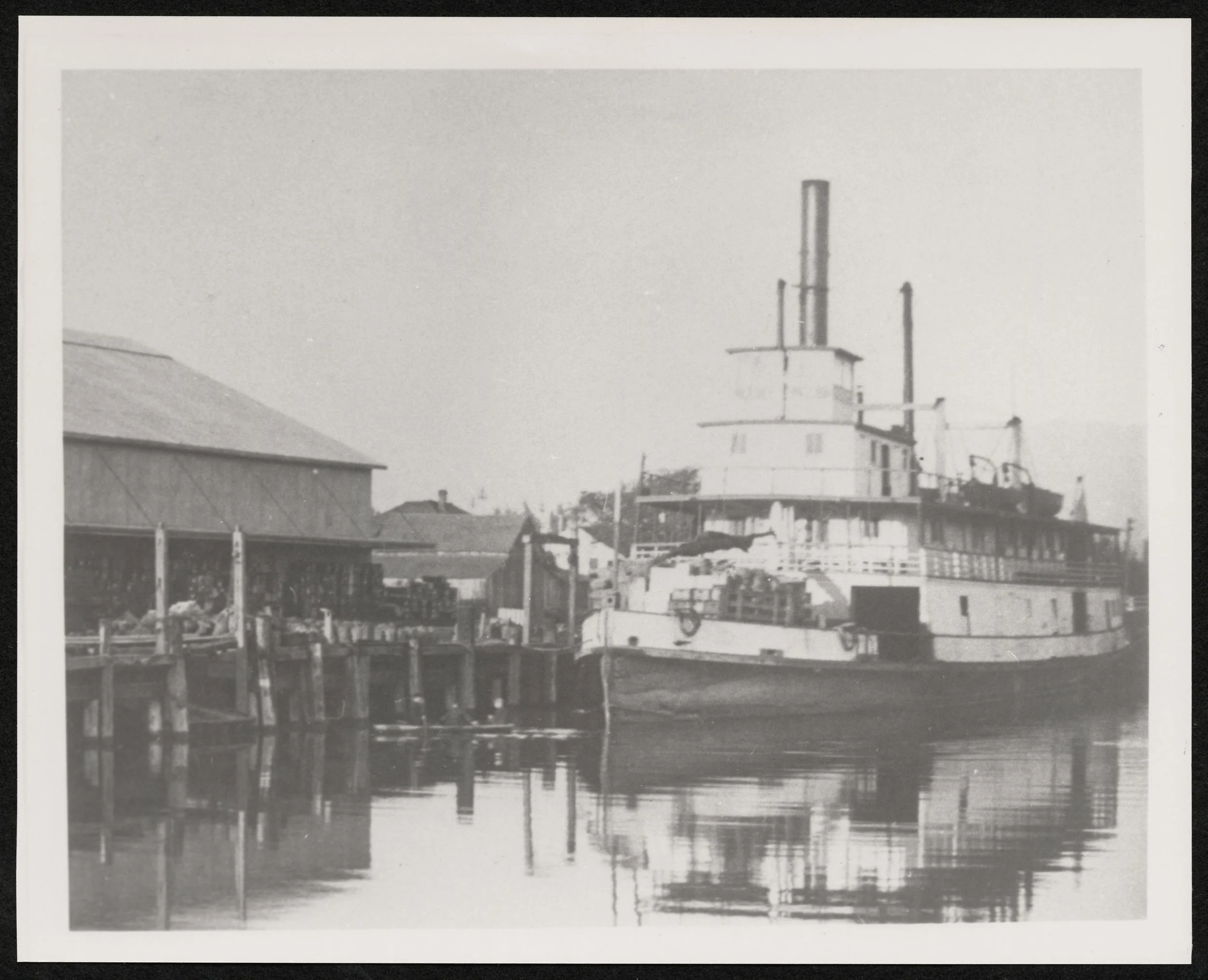Paddle Steamer "Steamer Gold" in Petaluma between 1890 and 1935