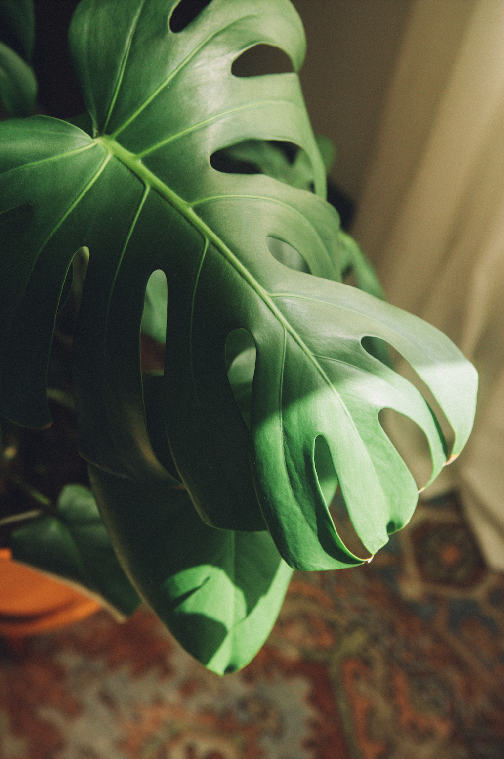 Screenshot 2026-03-24 at 3.37.22 PM.png