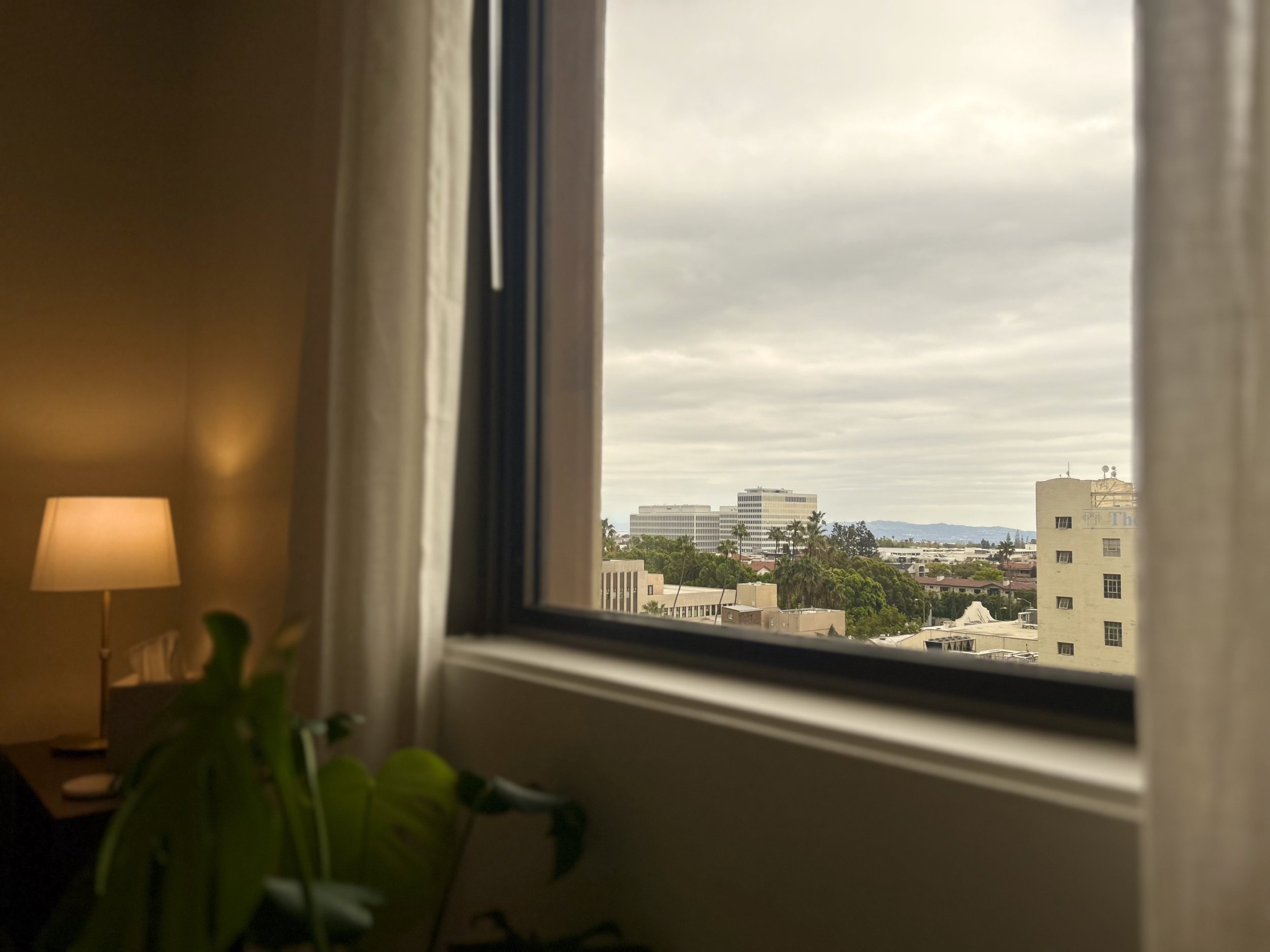 IMG_8278.jpeg