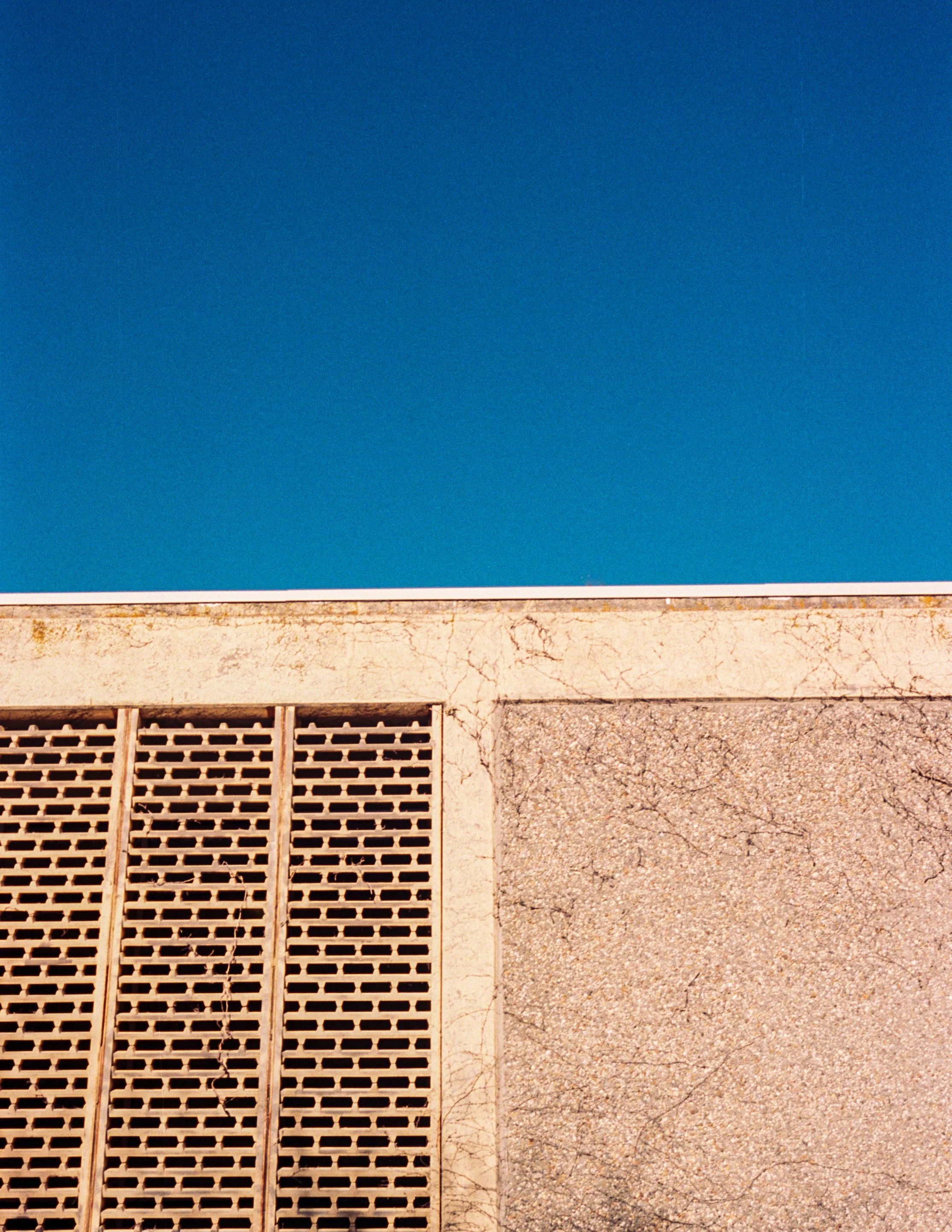 2020.01 ektar100.jpg