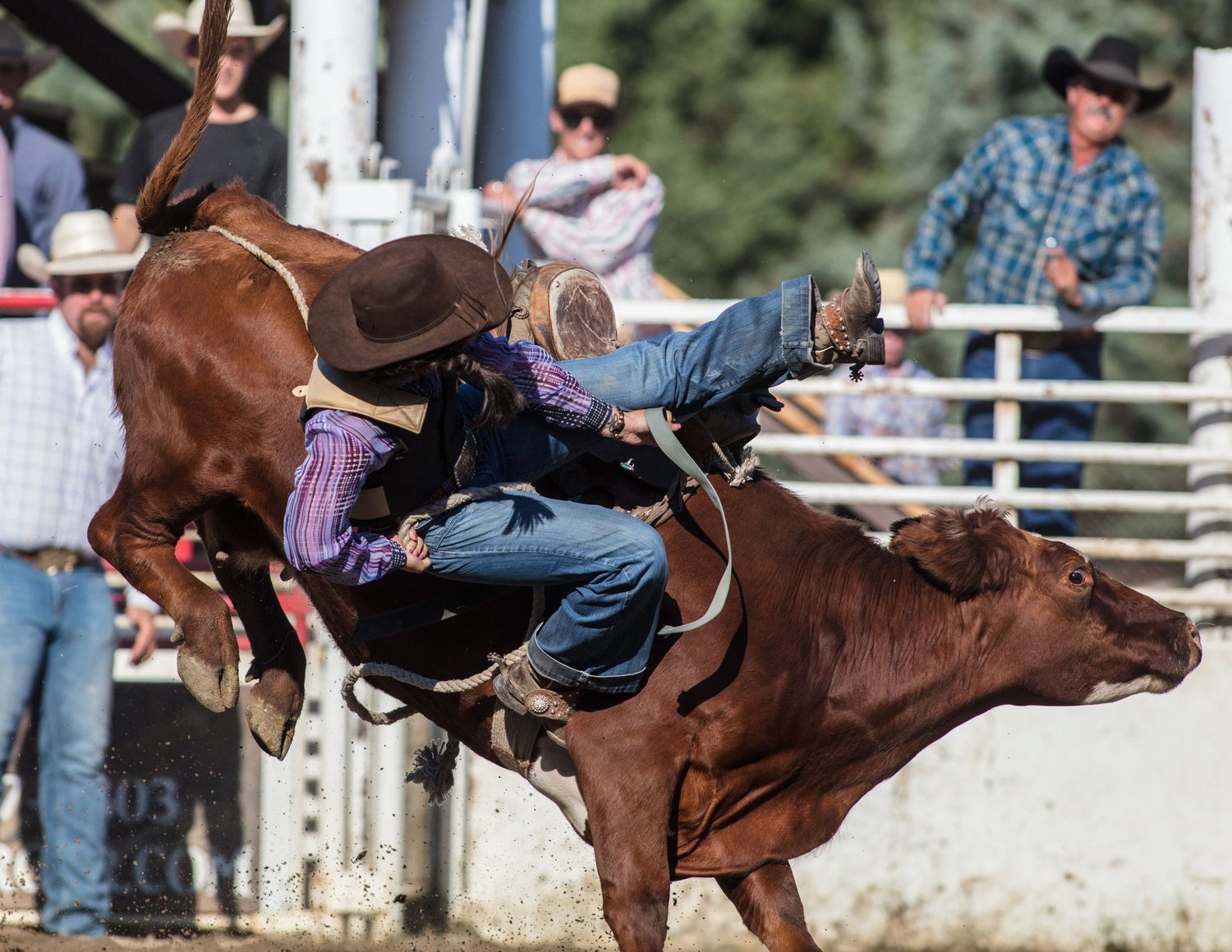 Cadogan Rodeo Events — Talladega County Exchange