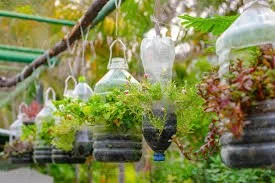 Plastic Bottle Planters: Cultivate in Clear Conscience