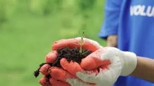 Build a Mini Compost — Because Decay Is Gorgeous