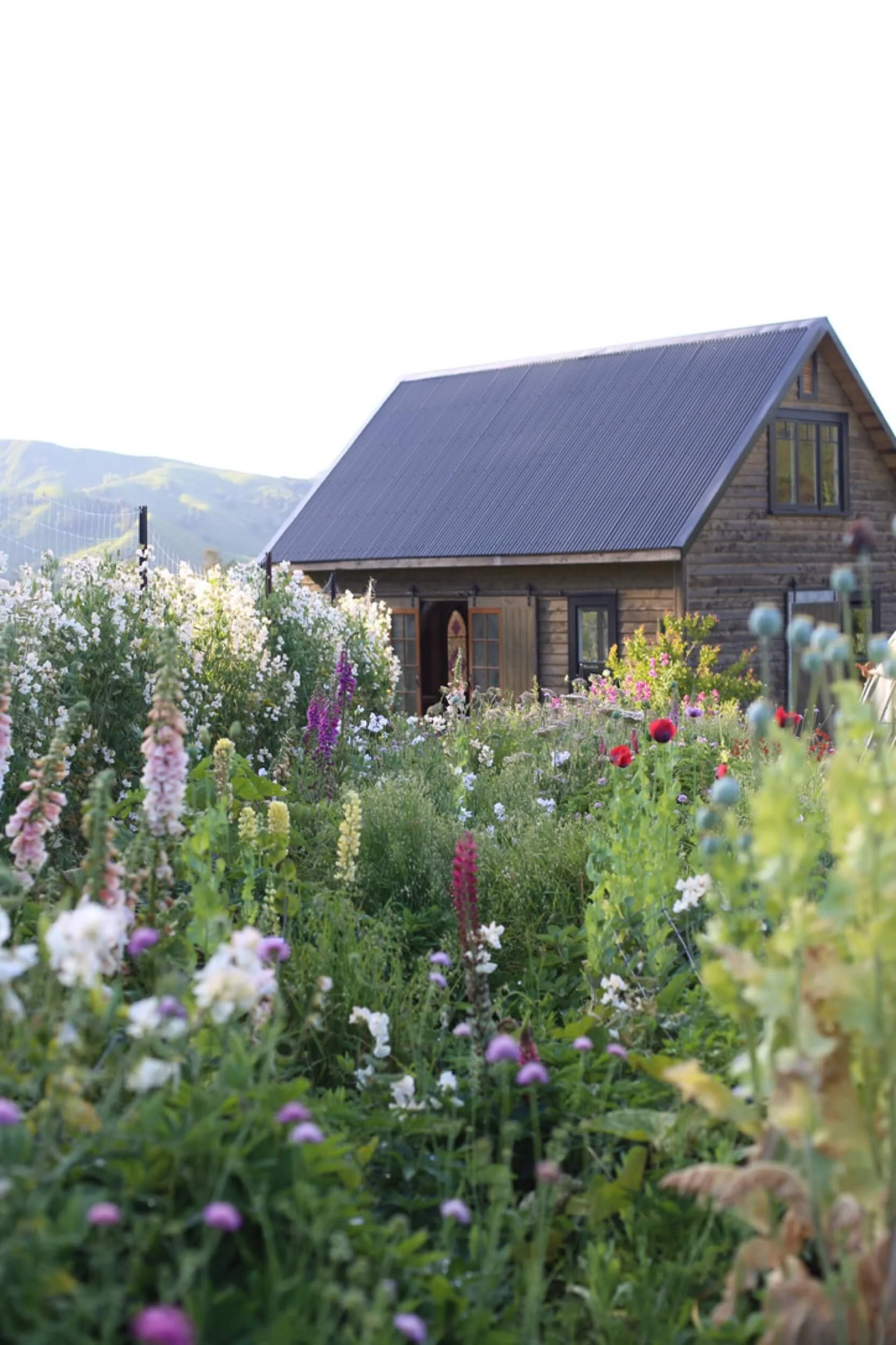 Field-of-roses-workshop-Zoe 16-christchurch-katherine-english-flora.jpeg