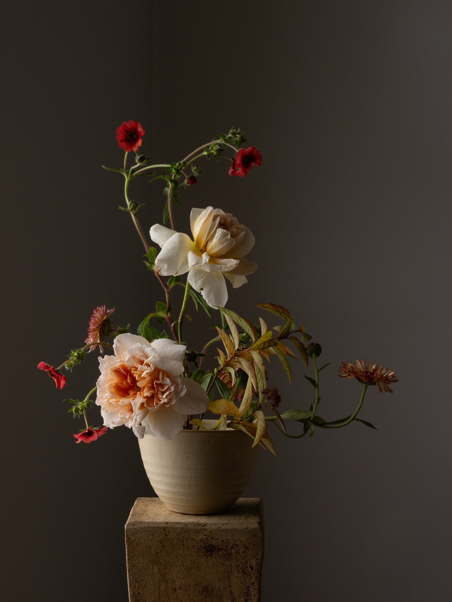 As much as I love a full sumptuous arrangement, in truth I am equally drawn to the pared back elegance of ikebana. I love that what looks beautifully simple, really is about such careful placement. The process is slow, mindful and precise, and that i