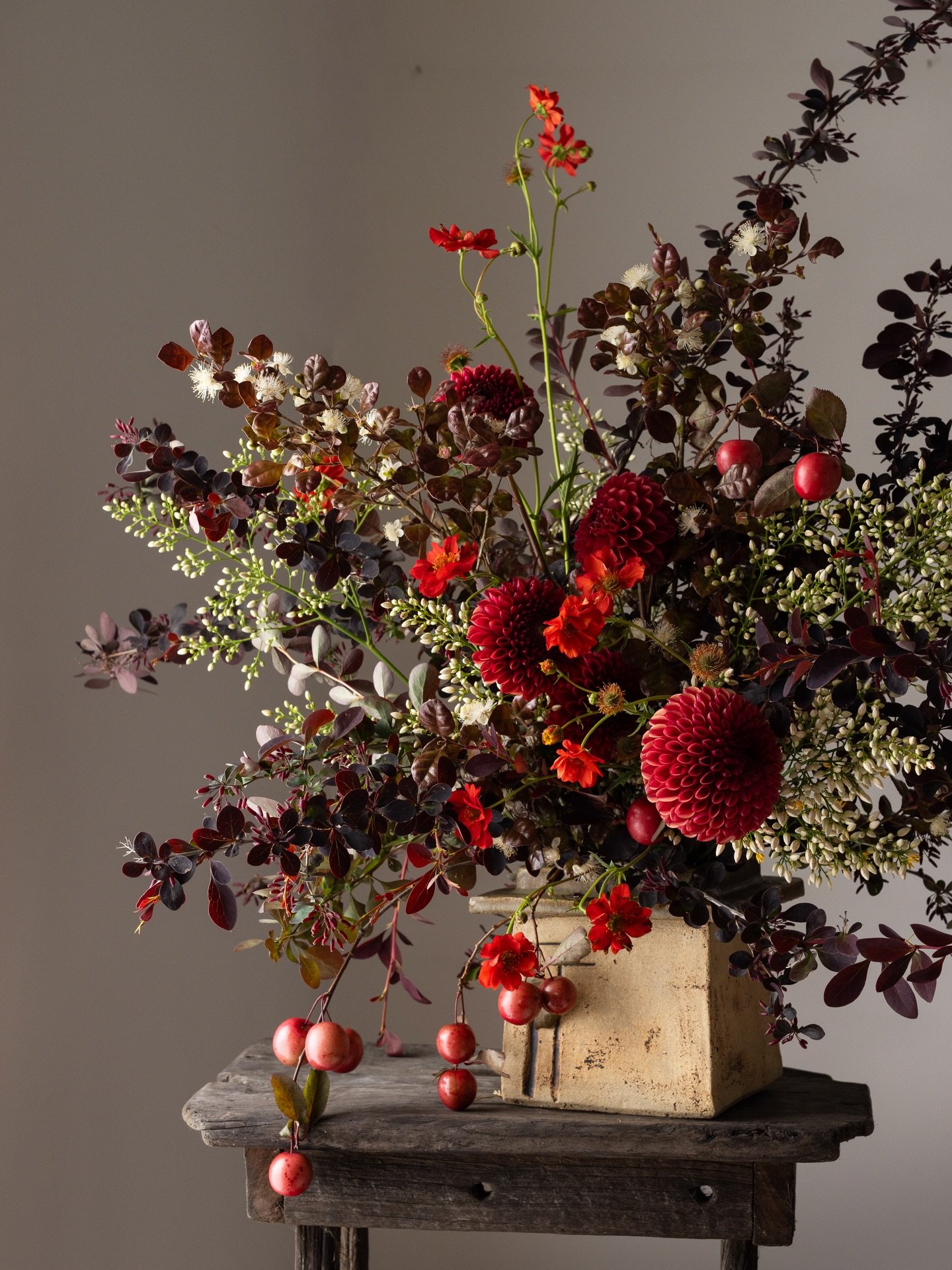 Bobbles and balls. It was a battle to wrangle this barberry foliage, it has thorns you could impale yourself on. I forgive it because I am mad about anything with wild arching stems, and a dark moody foliage does it for me every time. Next time I pla