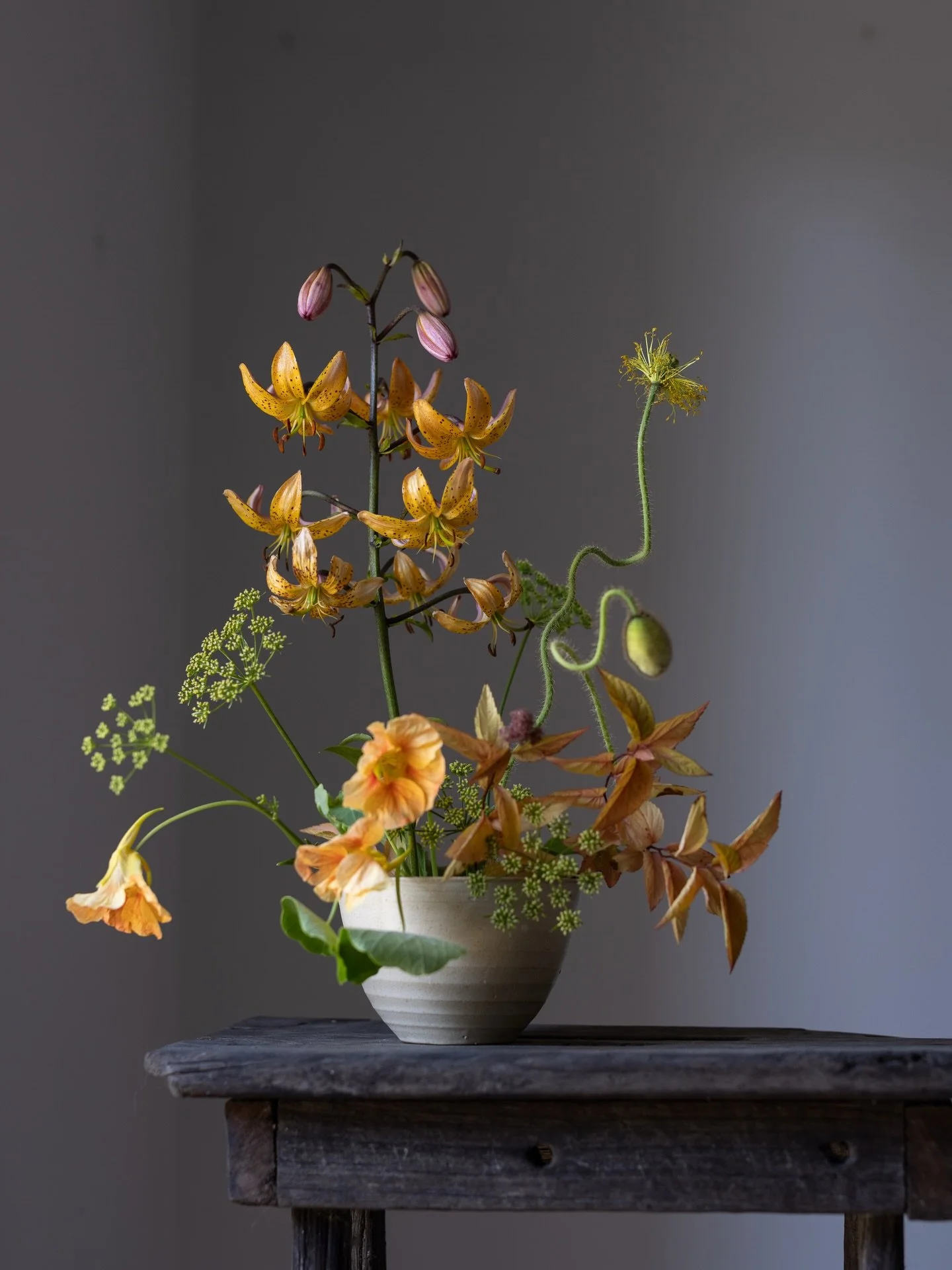 The song of a thrush awakes me, he begins at the first signs of light at 4.30am. Despite being woken, I am still thankful for days that stretch on until dusk and the sounds of blackbirds clucking in the gloaming at 9.30pm. The year bows out here in a