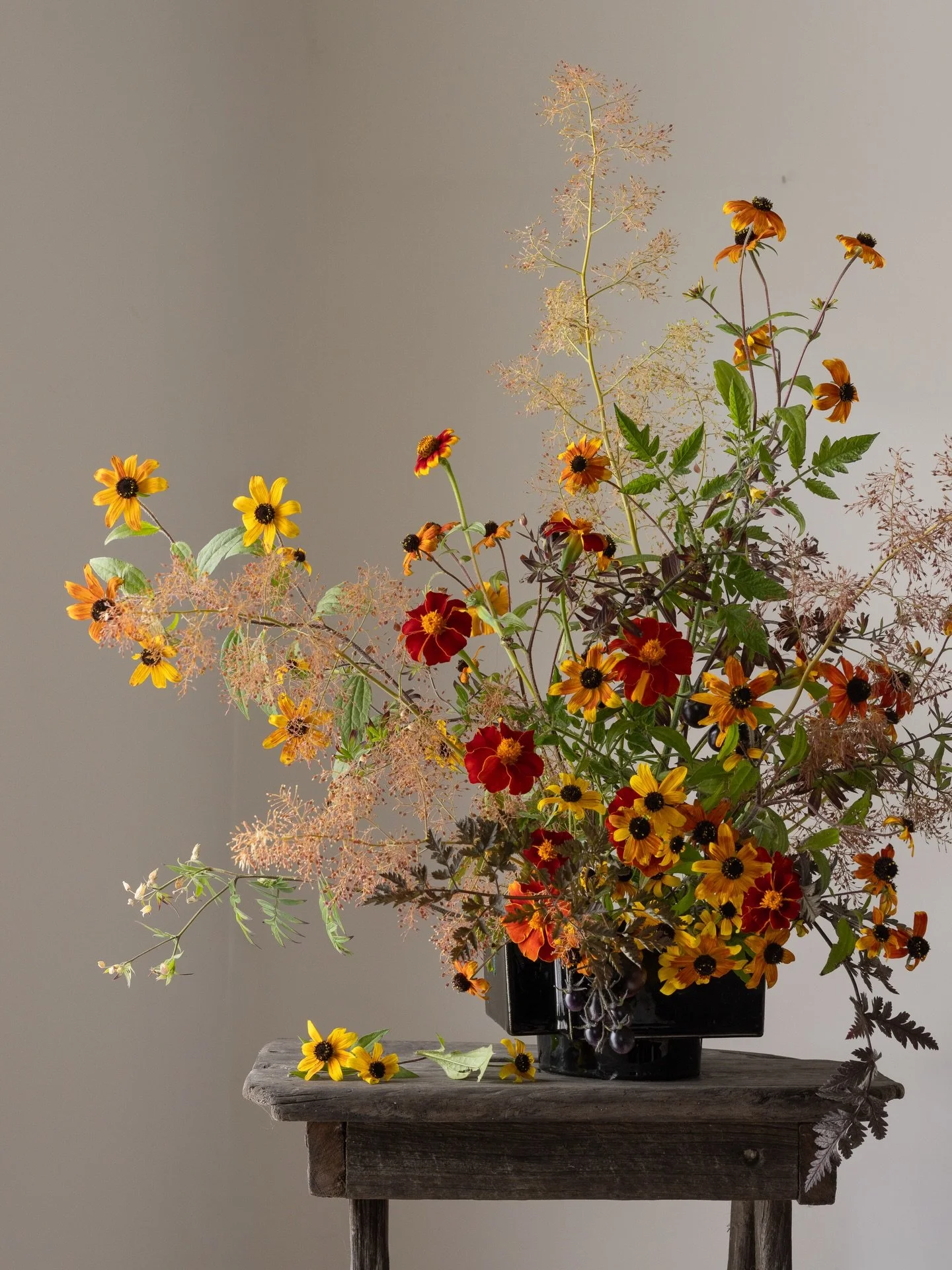 The tipping from summer to autumn has been brisk this year. This morning was a nippy reminder that frost could come any time from here onwards. Hopefully not for several weeks yet, I have a garden awash with flowers that I so hope to have a chance to