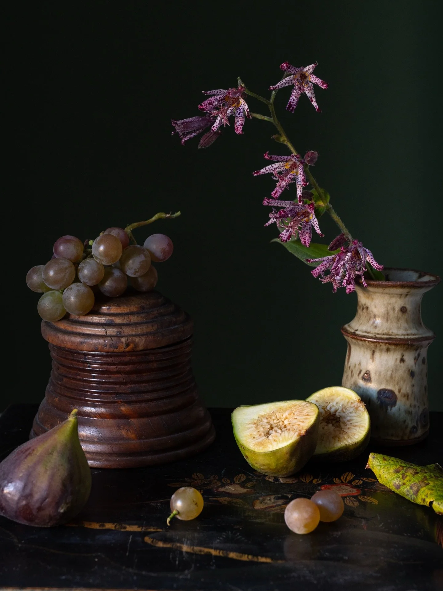 My garden is really given over to flowers, however I do so love food and cooking. Space is allowed for growing a few things that I know are not easily found, and that includes &lsquo;Iona&rdquo; grapes and figs. Both are espelliared beautifully along