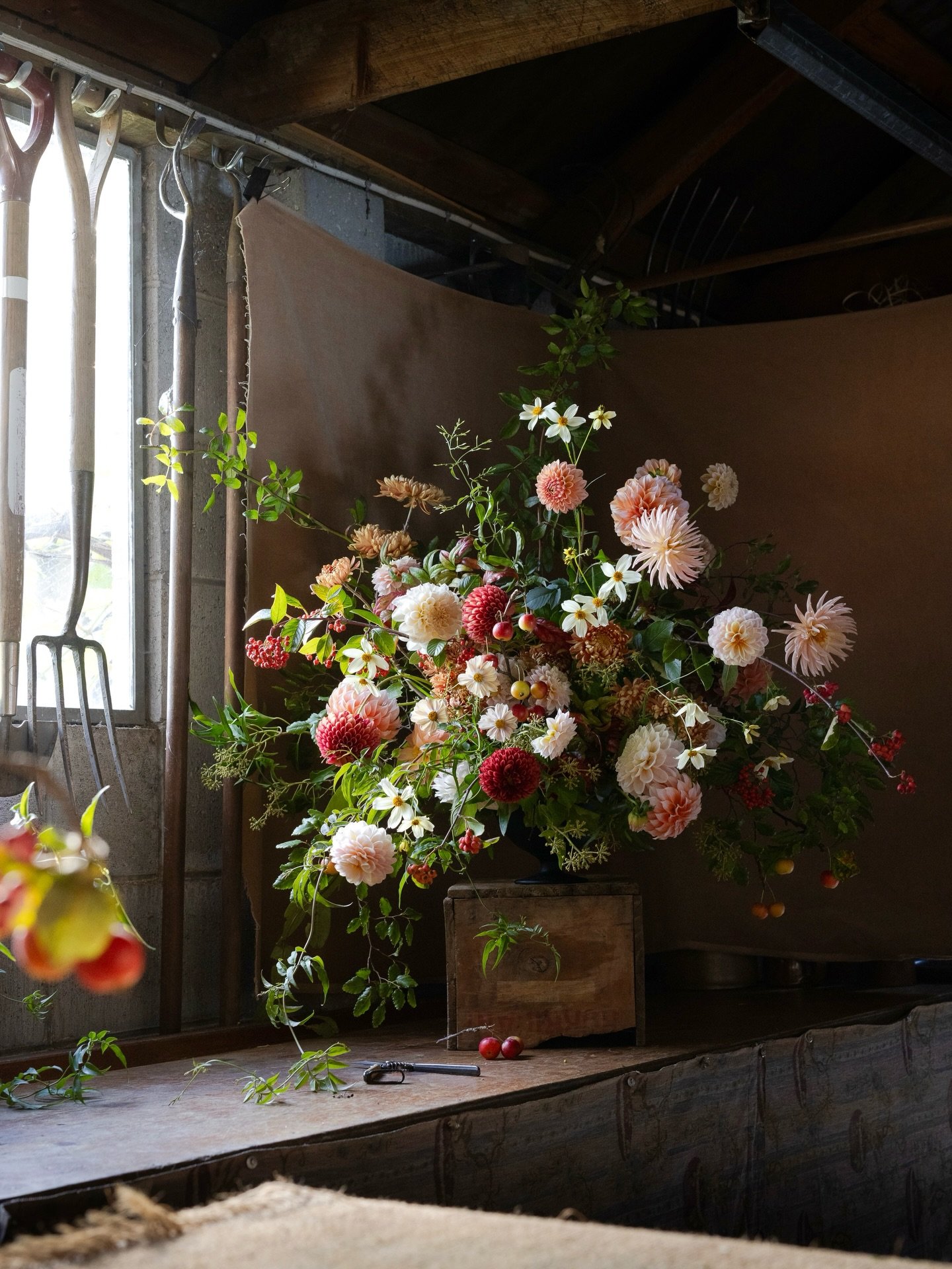 The last glorious gasp of the dahlias. This is how I see my garden now, loose, almost going over but oh so sumptuous in its fading glory. In this I was aiming for a look of having given up on restraint or control. As I have with my garden, for now. I