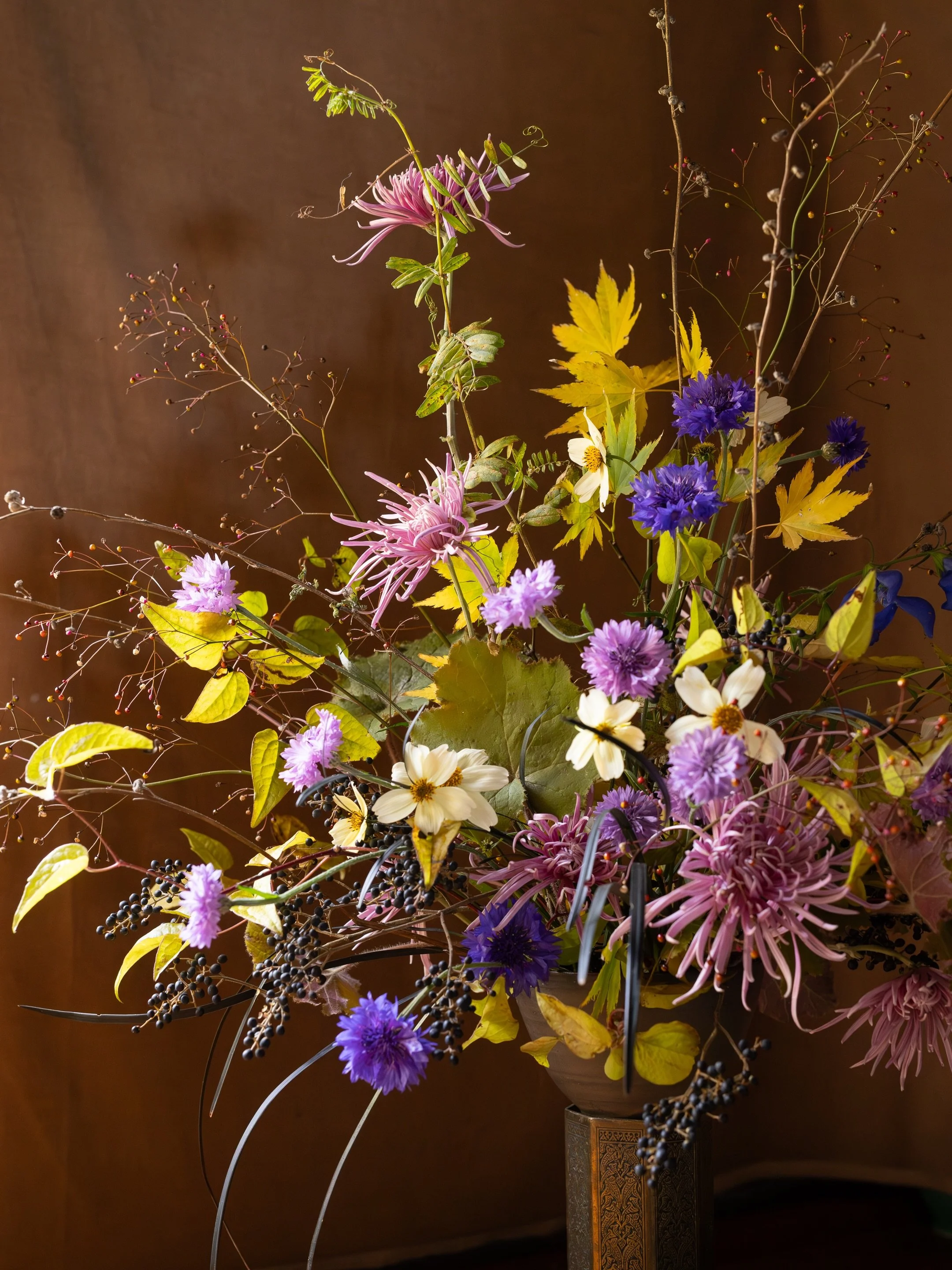 Now the land is overgrown, decaying and withdrawing into its winter rest. All that is left are the last exquisite chrysanthemums and a few hardy stragglers. Every golden leaf has become a jewel, seedheads are sculptures, and tendrils treasures. 

The
